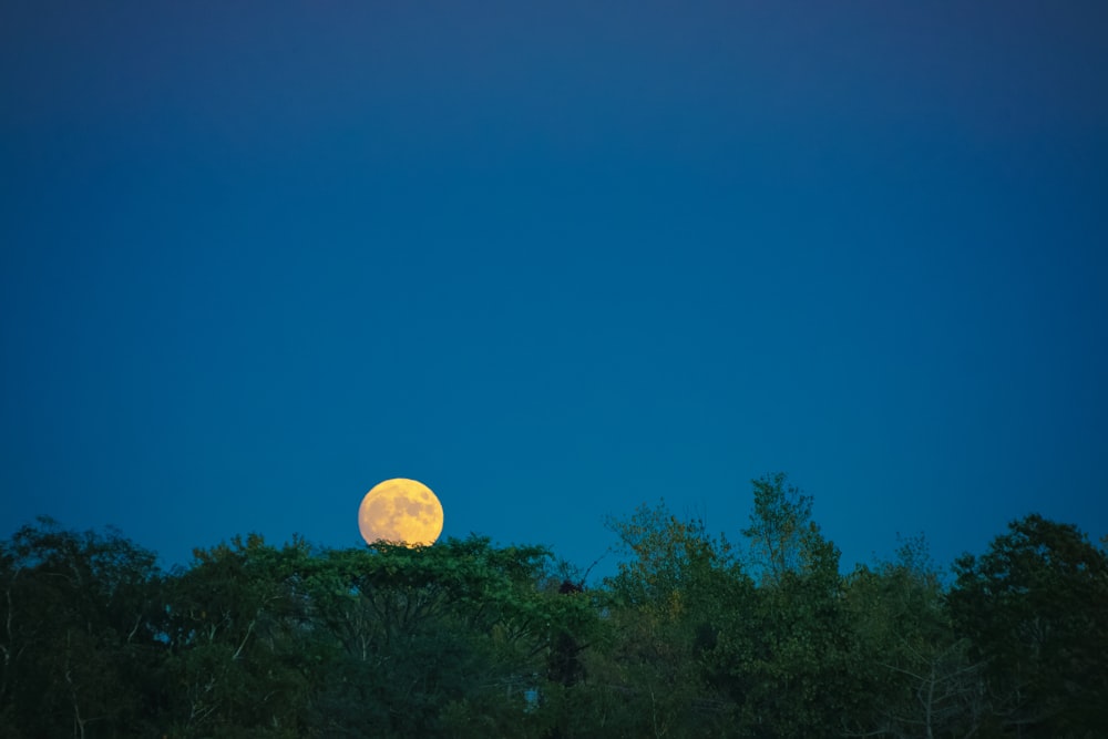 a full moon in the sky