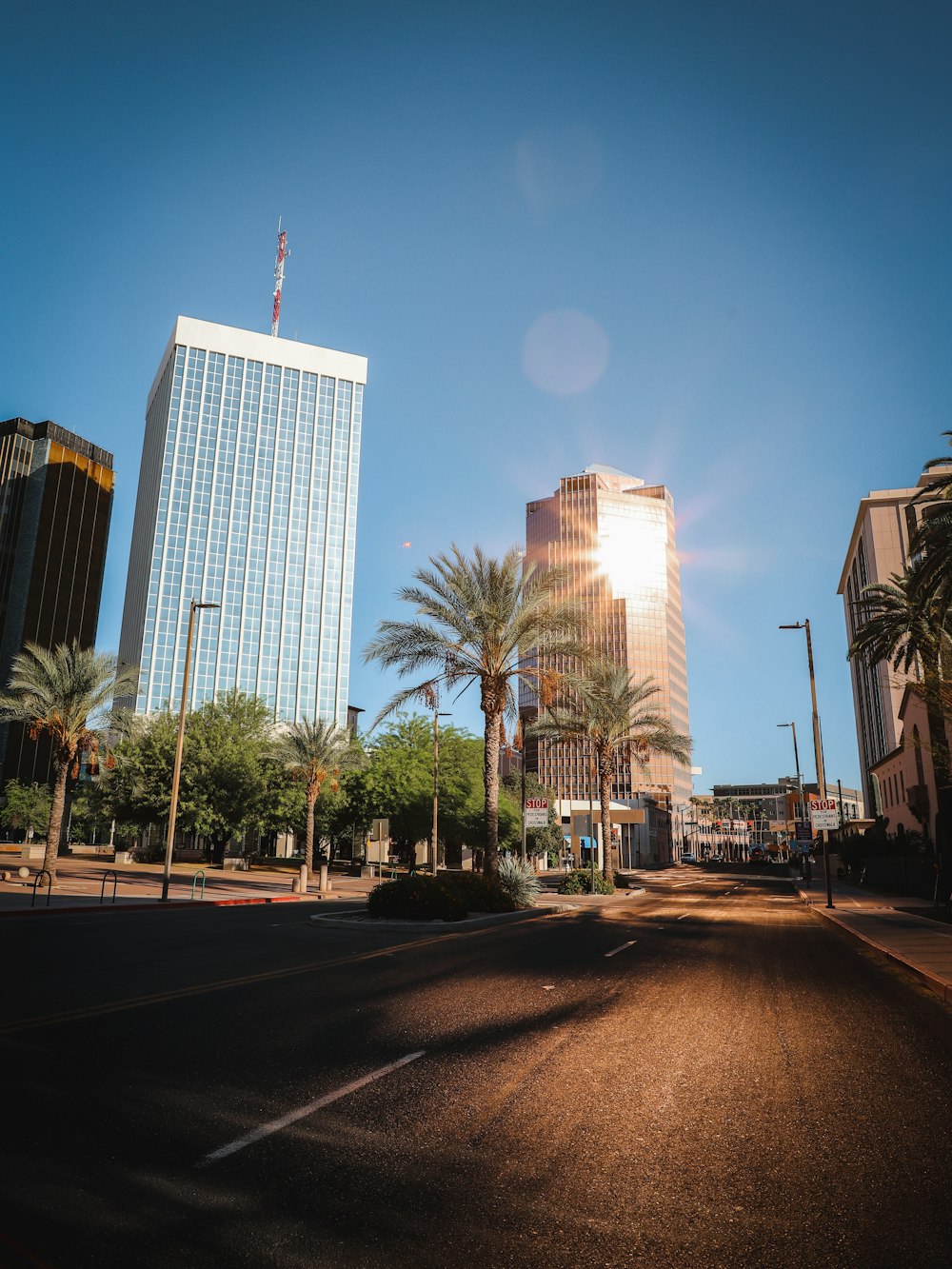 a street with palm trees and tall buildings on either side of it