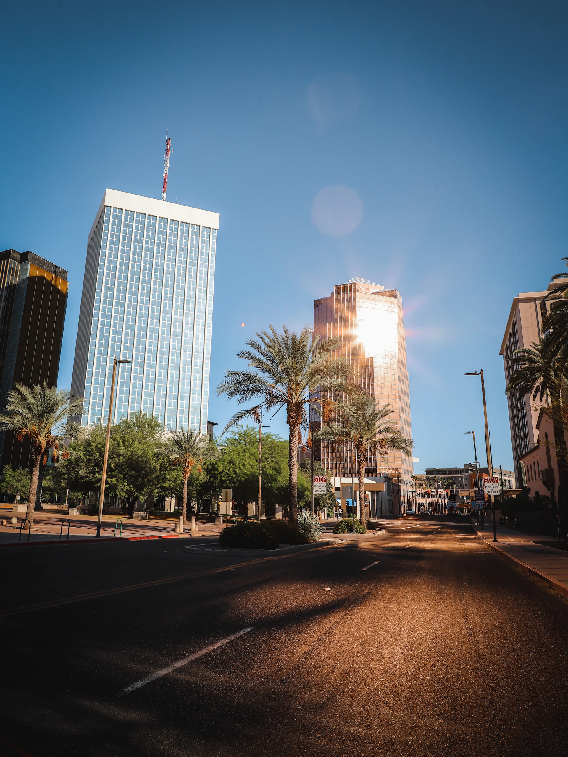 a street with palm trees and tall buildings on either side of it