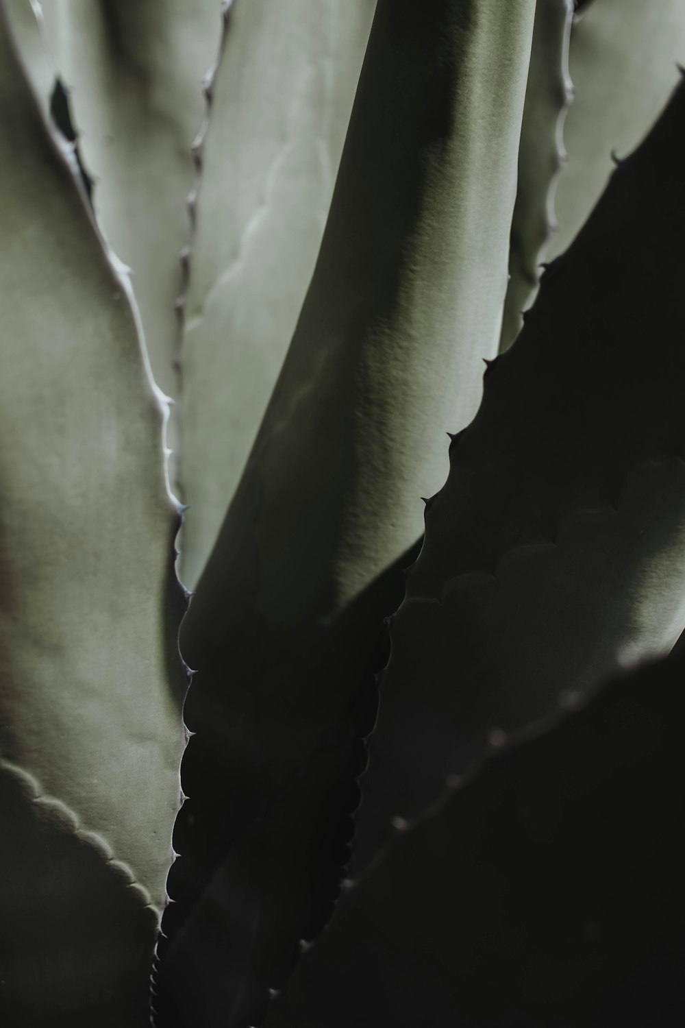 a close-up of a white curtain