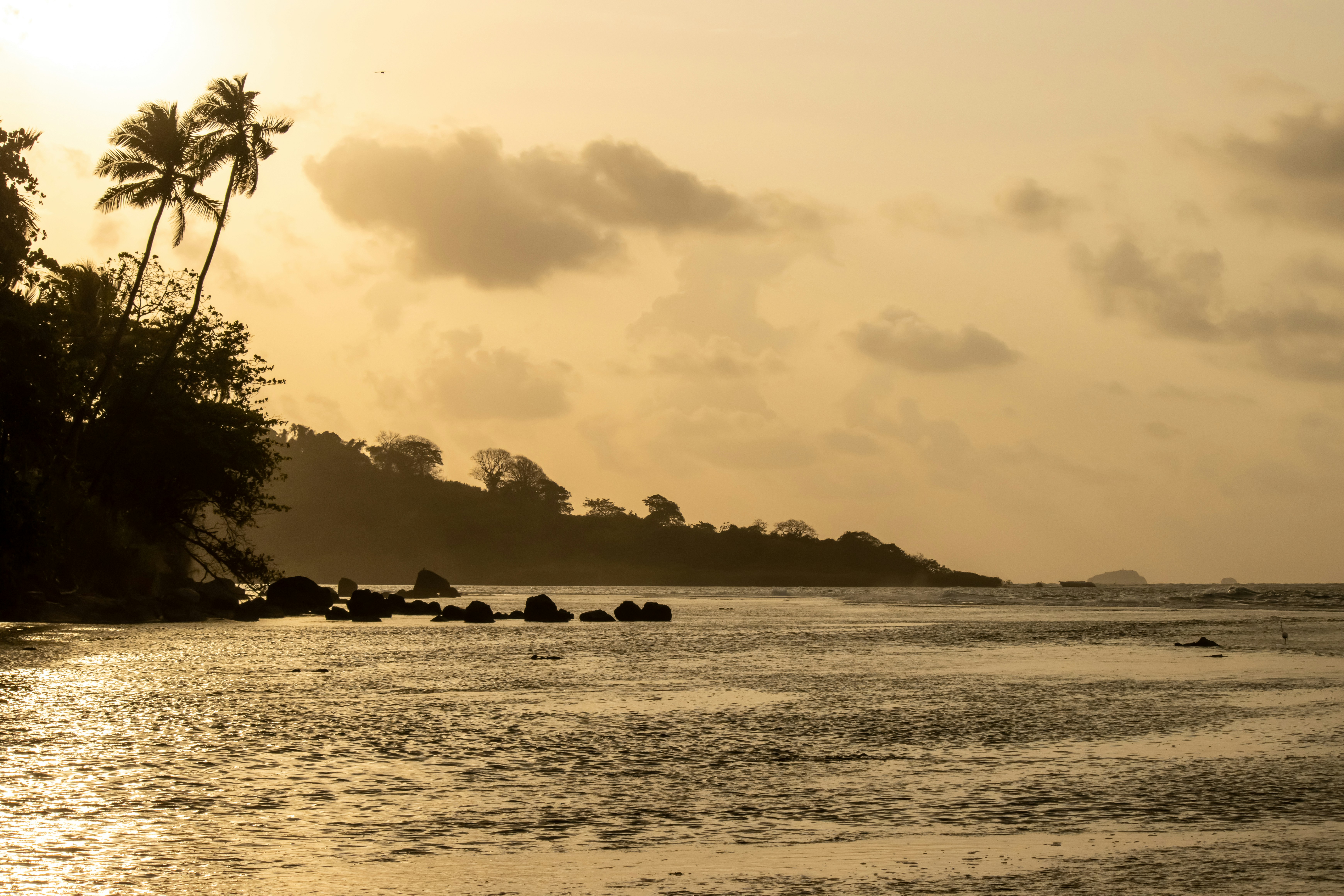 a body of water with trees and rocks on the side