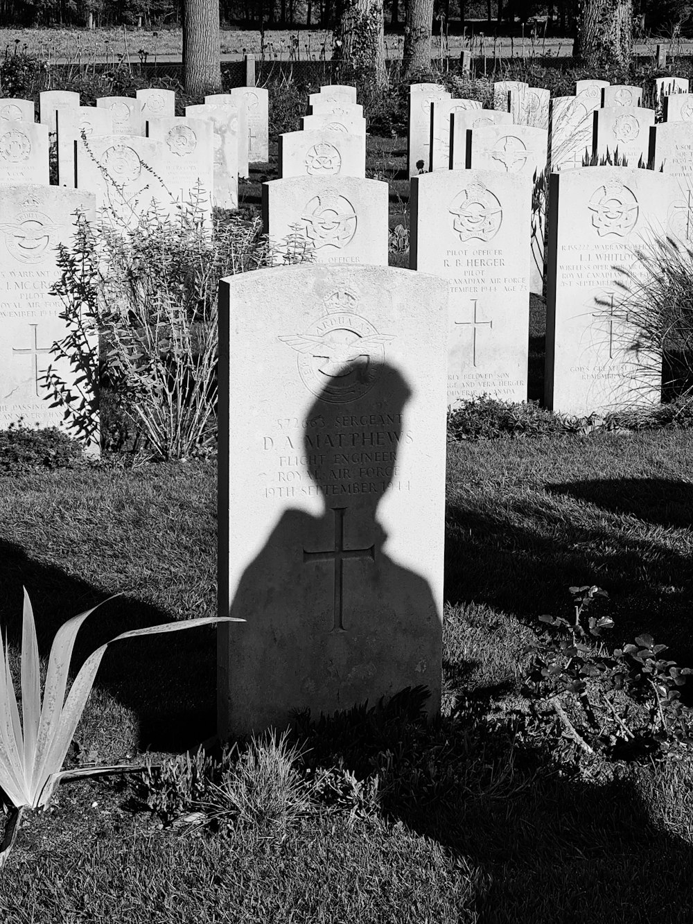 a person's shadow on a stone wall