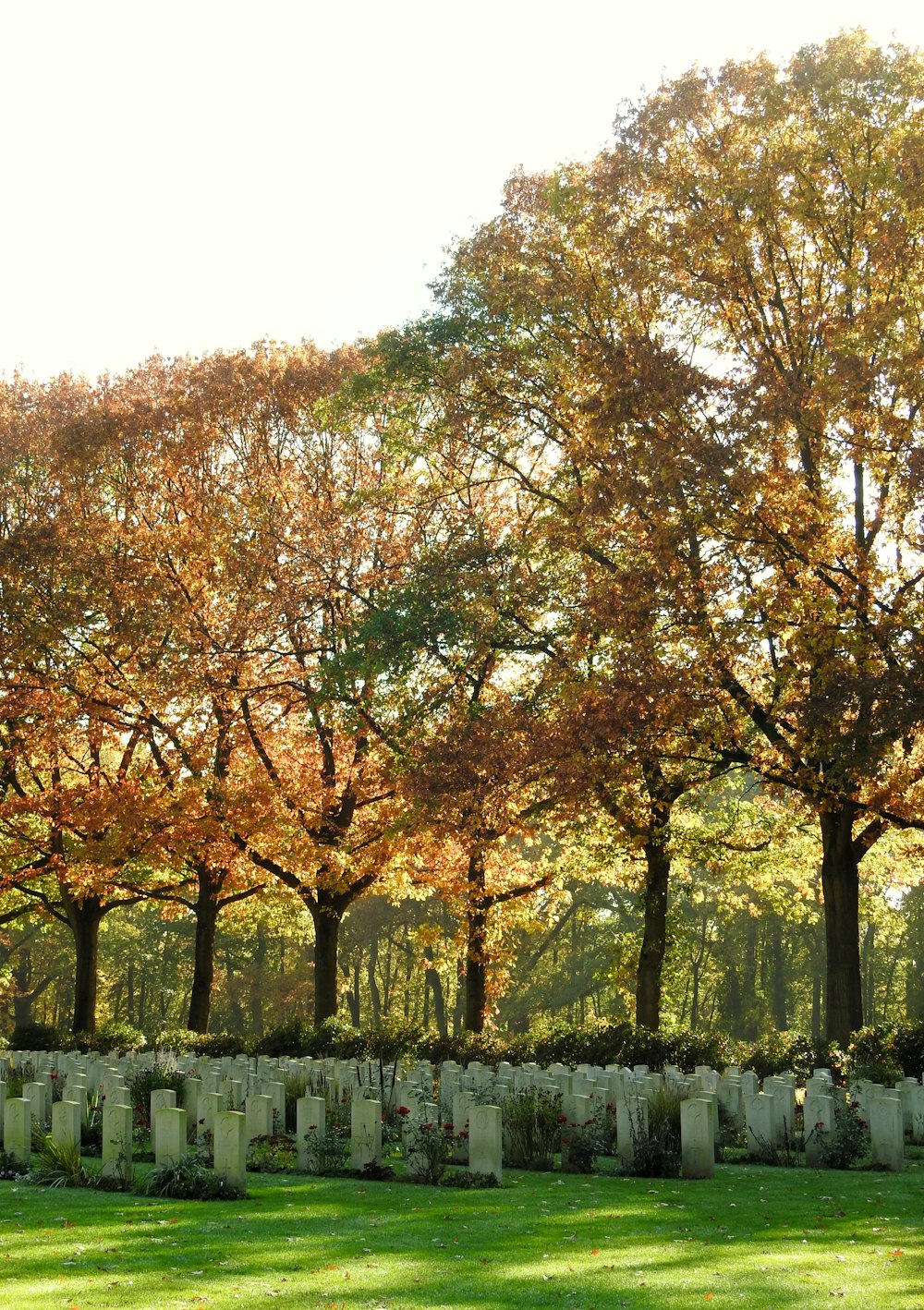 a cemetery with trees in the background