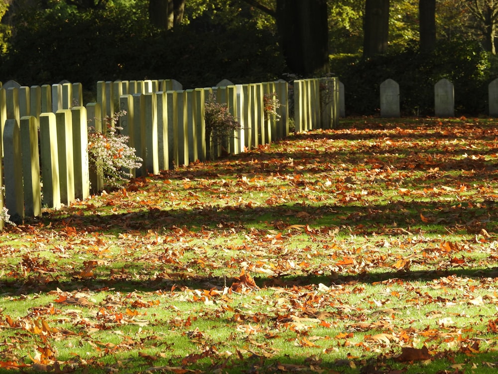 a cemetery with fallen leaves
