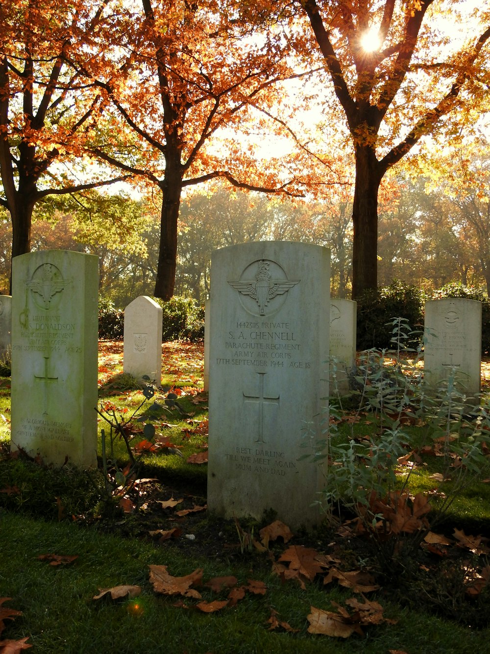 a group of gravestones in a cemetery