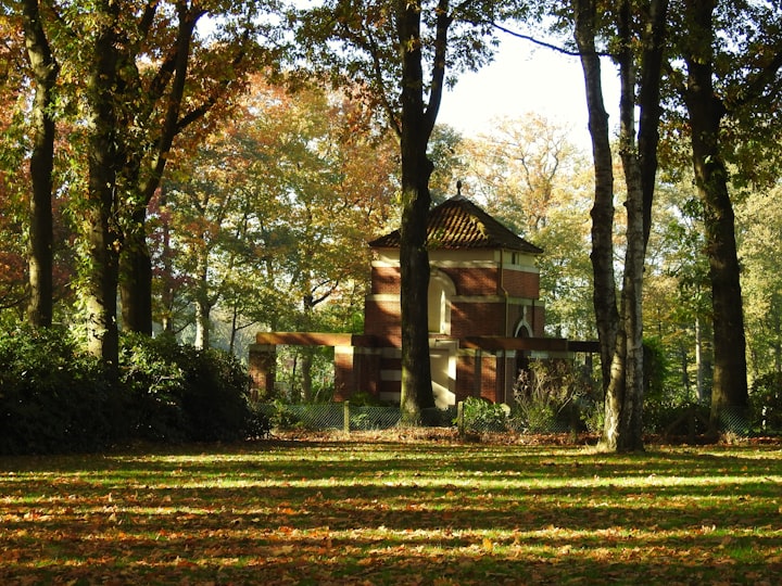 "The Curse of the Forgotten Cemetery"