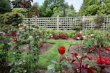 A vibrant garden filled with various types of blooming flowers, predominantly roses, arranged in neat rows. A wooden trellis serves as a backdrop, partially covered by lush greenery. The garden is well-maintained, with a manicured lawn and evenly spaced flower beds. Trees and shrubs frame the garden, suggesting a peaceful and secluded outdoor space.