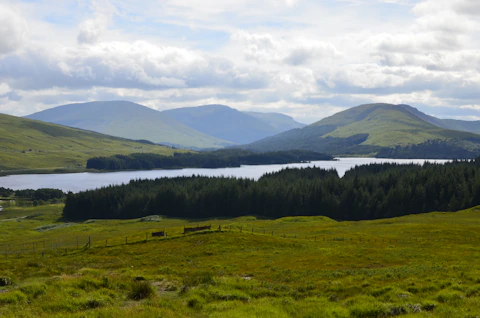 a grassy field with a body of water in the background