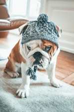 A friendly roofing bulldog mascot wearing a hard hat on a sunny rooftop.