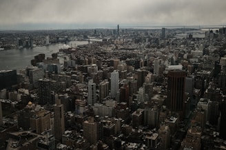 a large city landscape with Empire State Building in the background