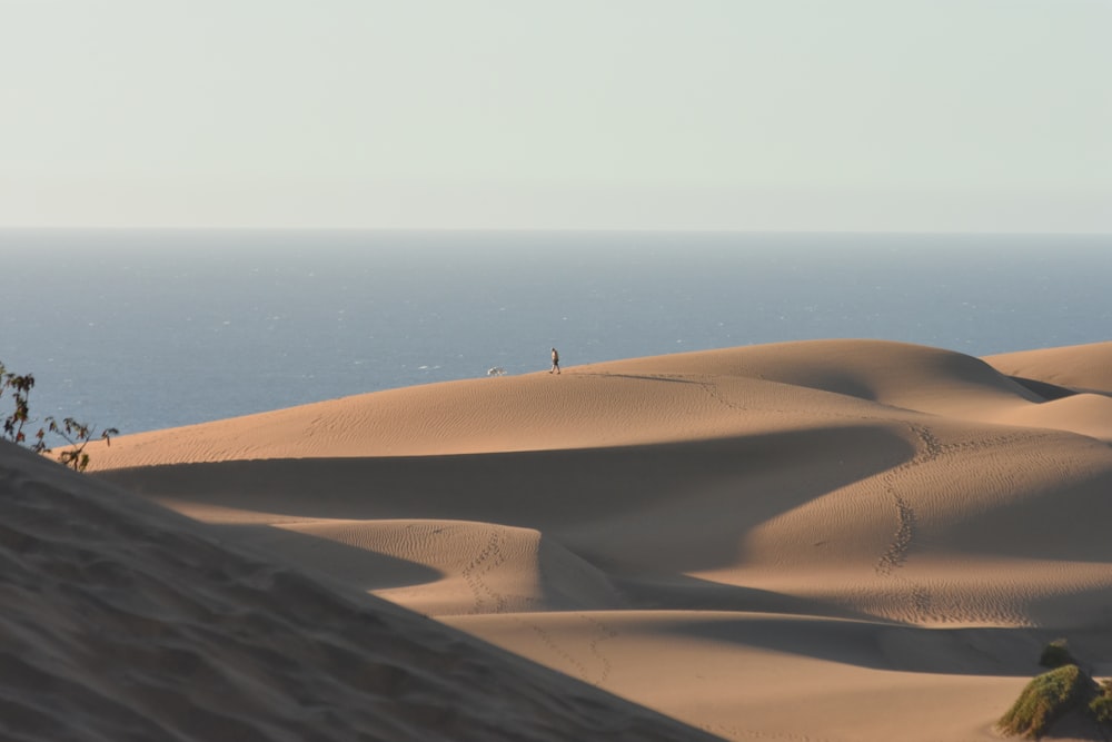 a person standing on a sand dune
