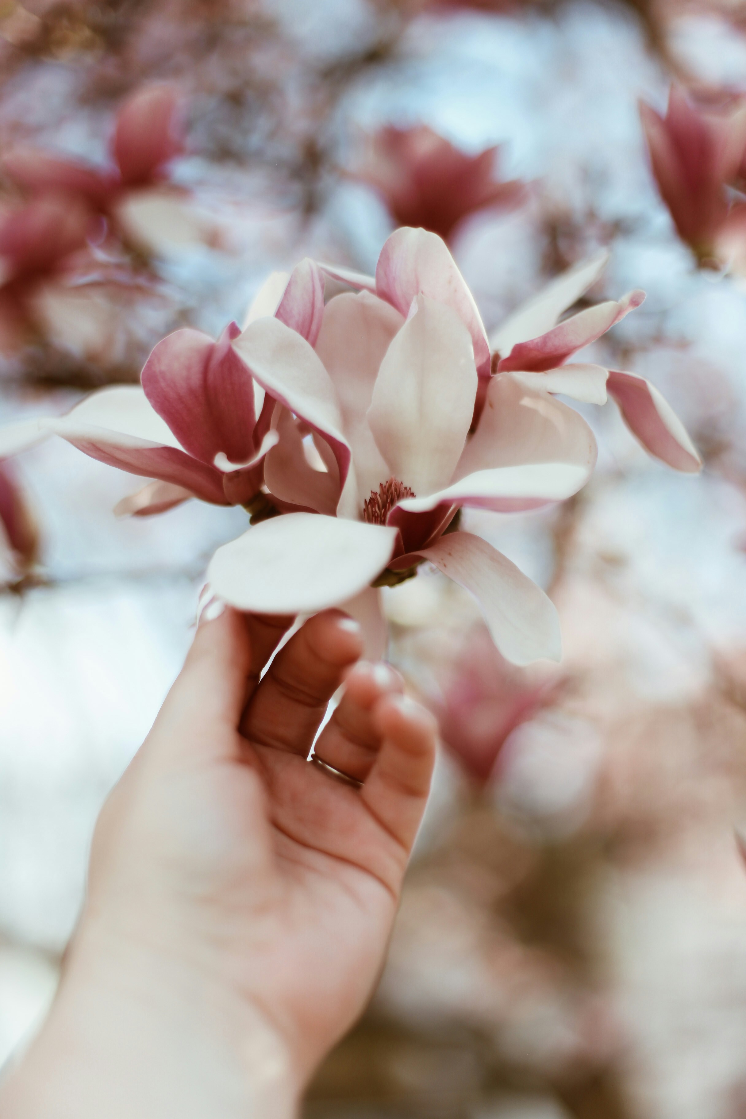 Photo by jessicalfadel