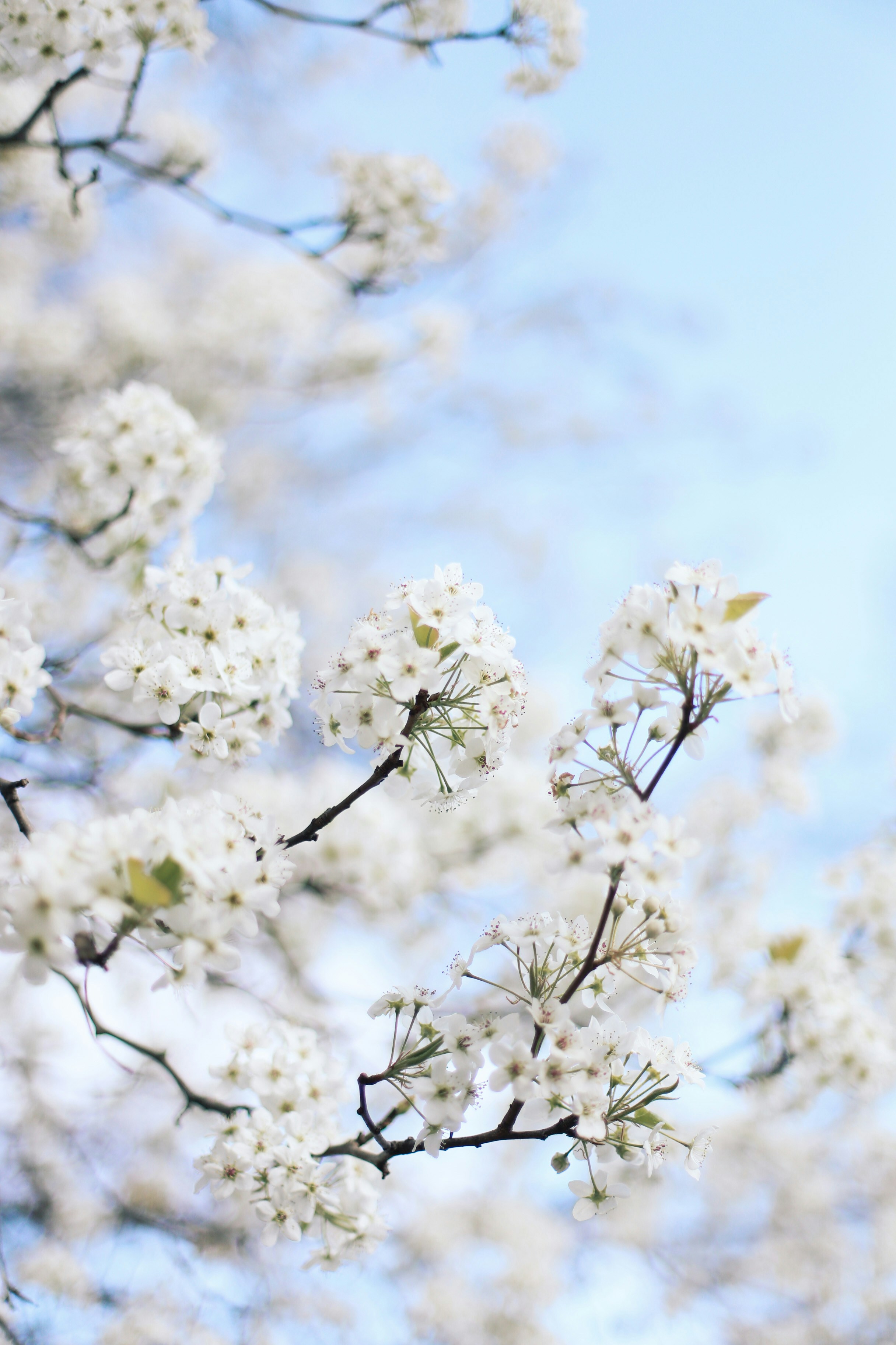 Photo by jessicalfadel