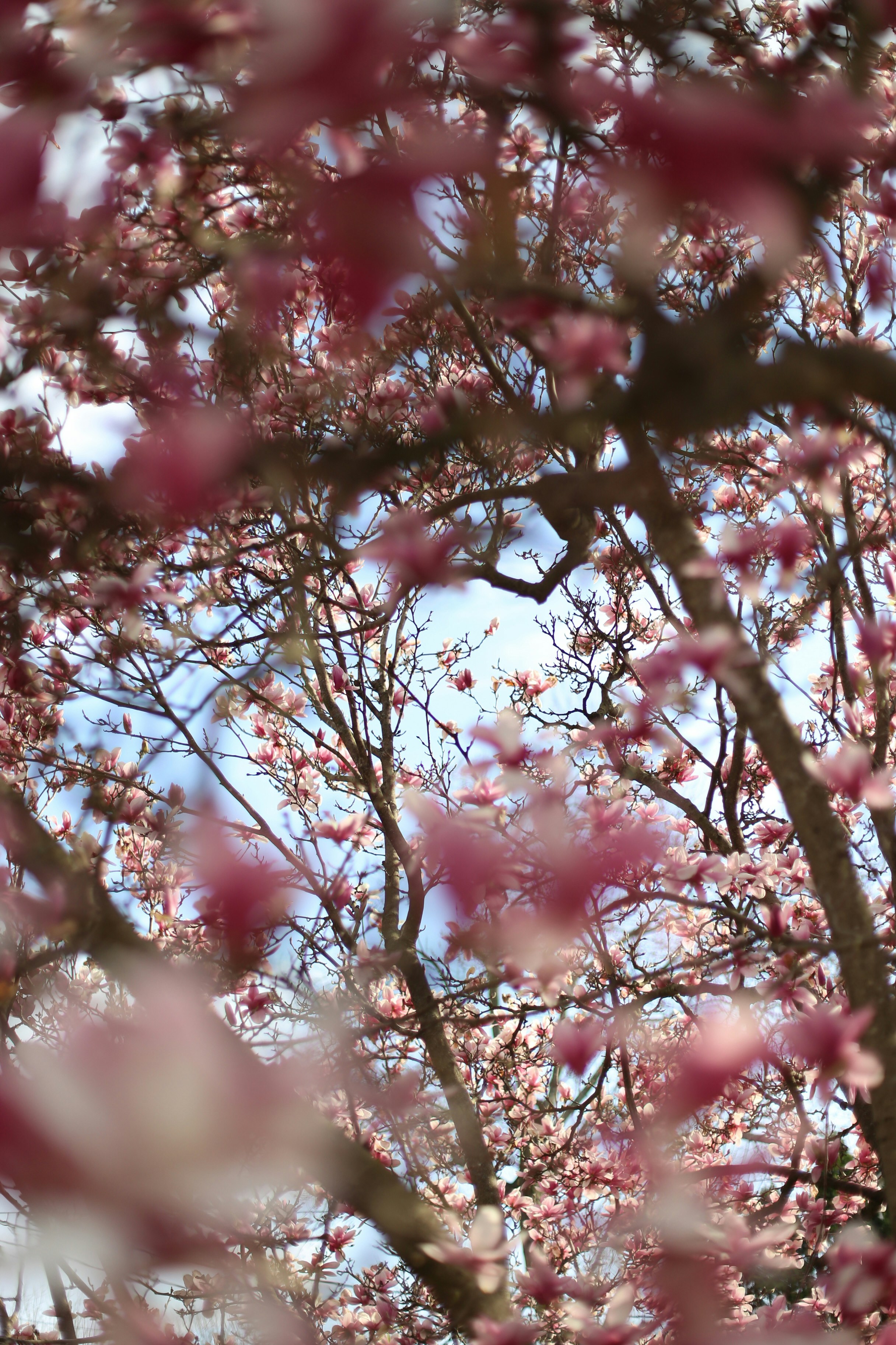 Photo by jessicalfadel