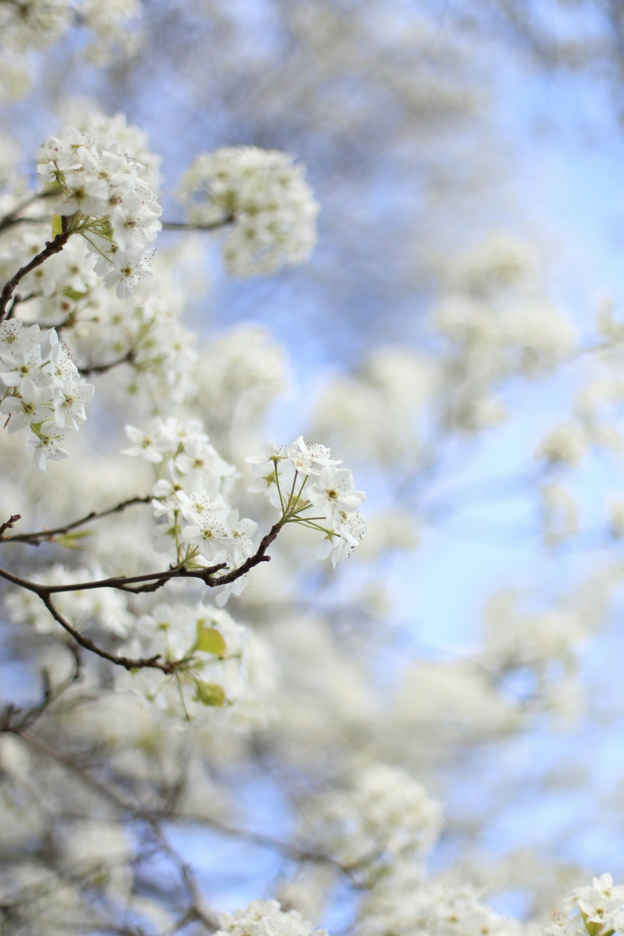 Photo by jessicalfadel