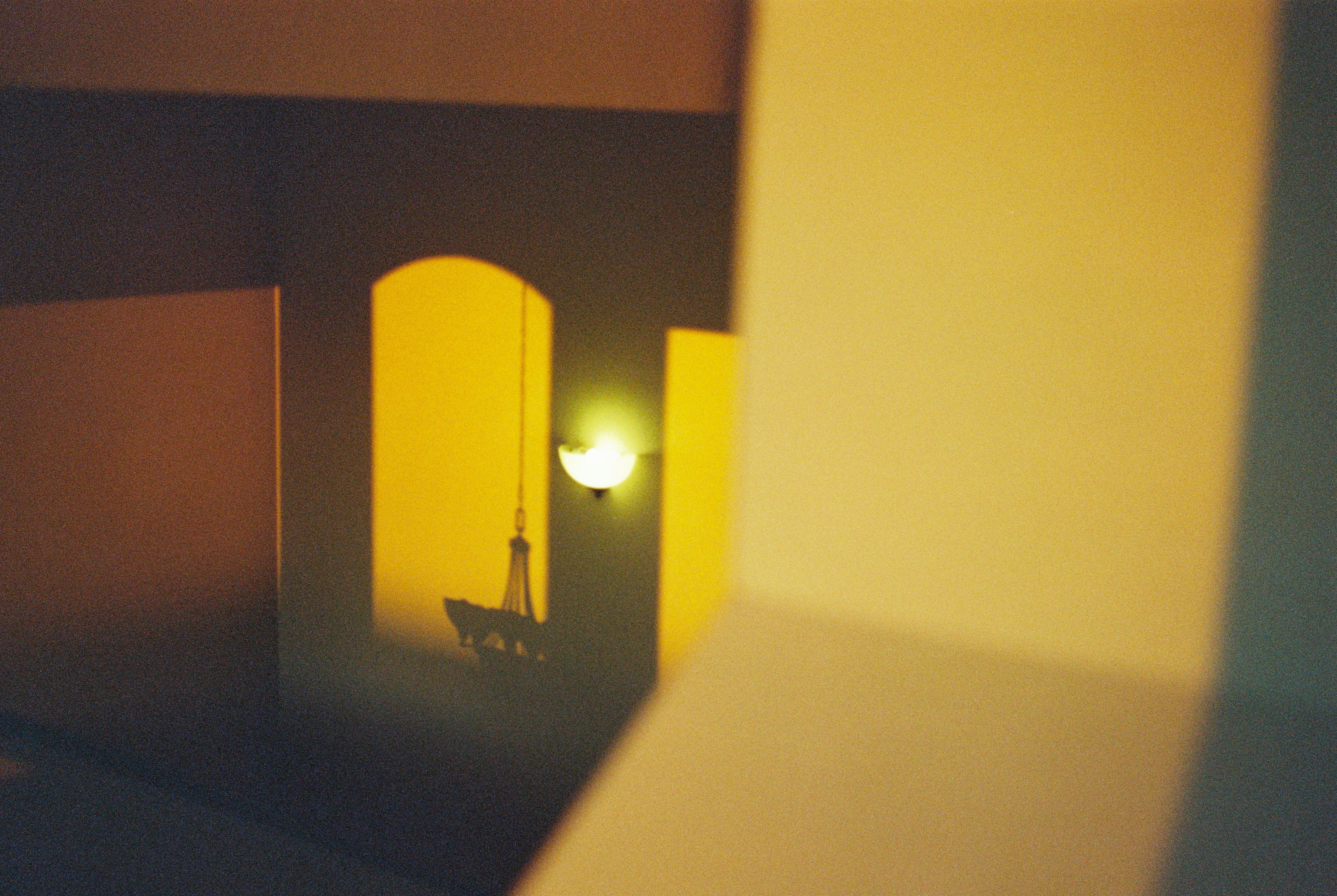 Photo by davispatton