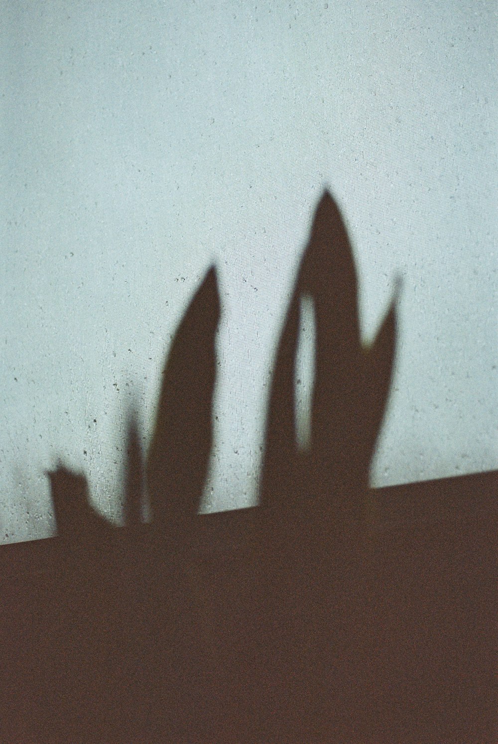 uma sombra de uma pessoa em uma parede
