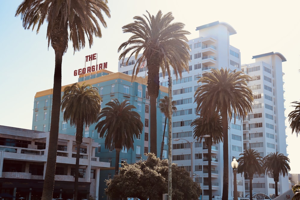 palm trees in front of a building