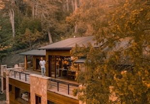 A cozy cabin porch with pine trees and a steaming cup of coffee beside a box of rustic donuts.