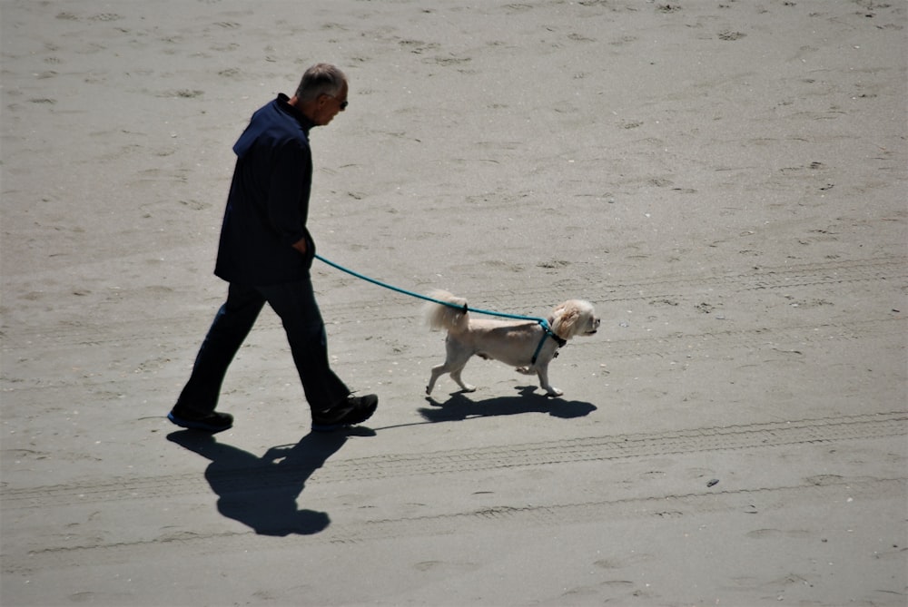 a man walking a dog on a leash on a beach
