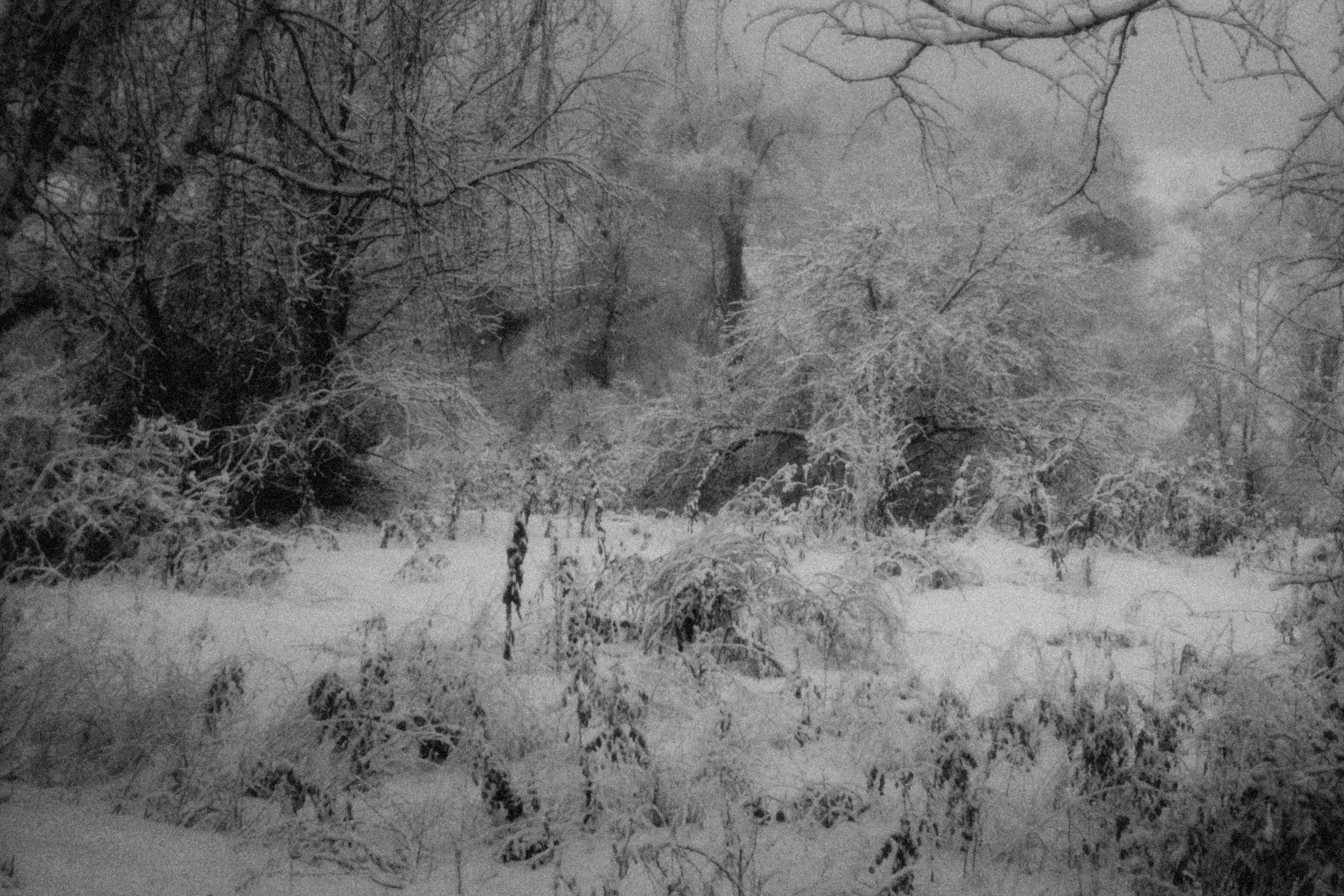 Photo by alexeydemidov