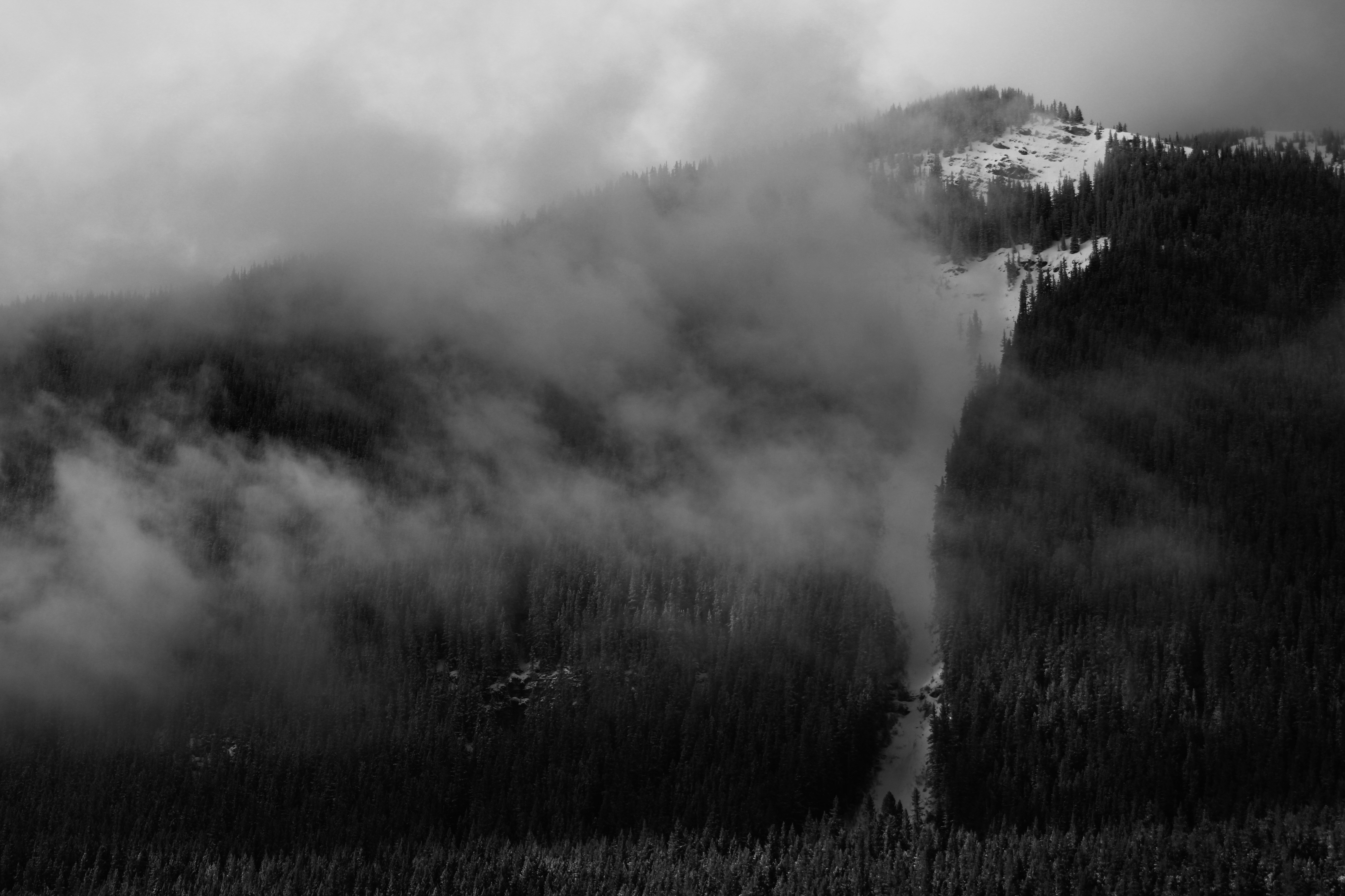 Photo by peacelily234