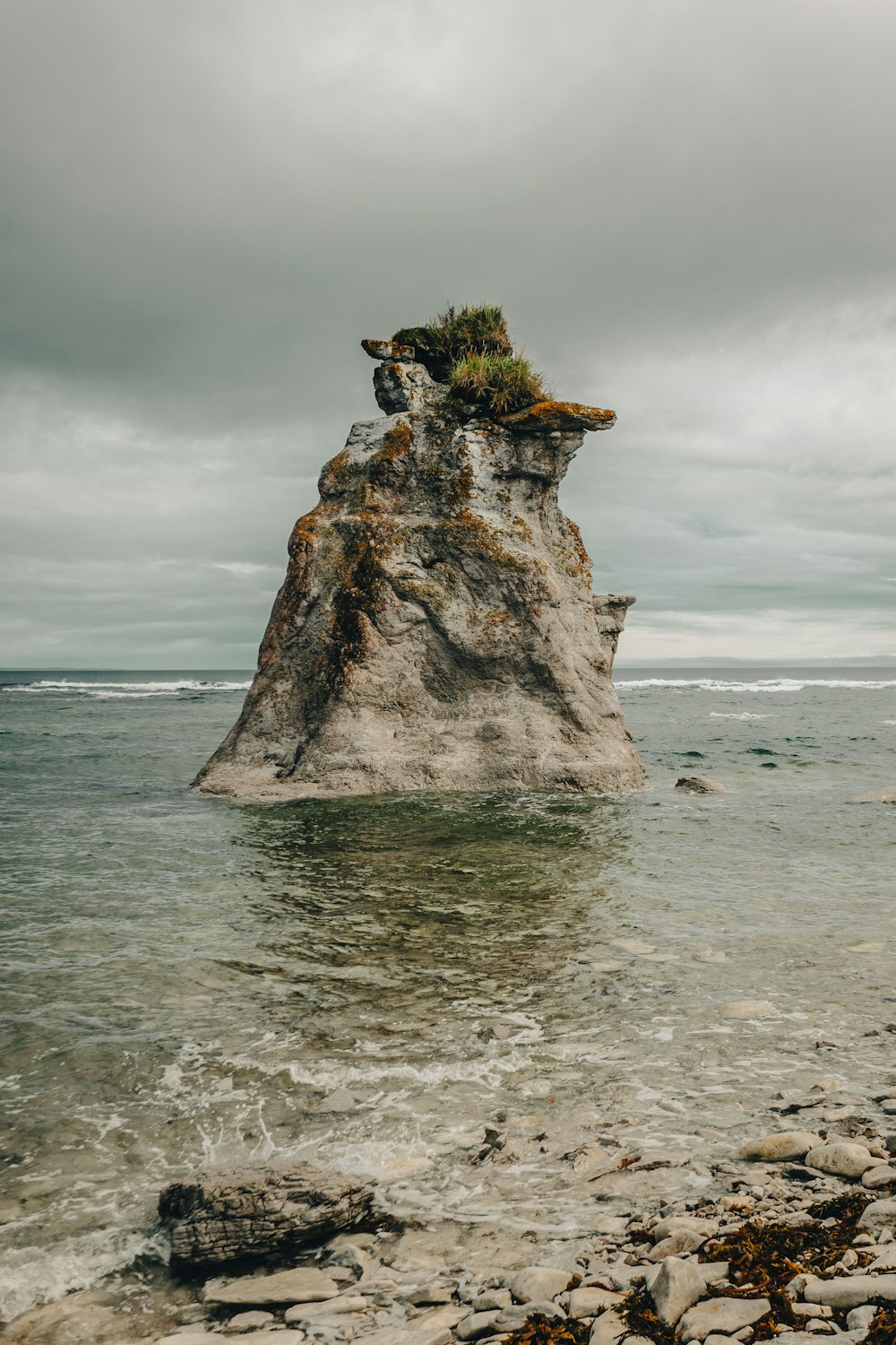 a rock with plants on it in the water