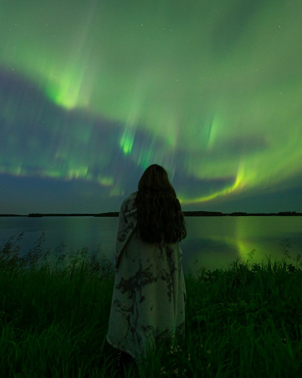 a person looking at the northern lights