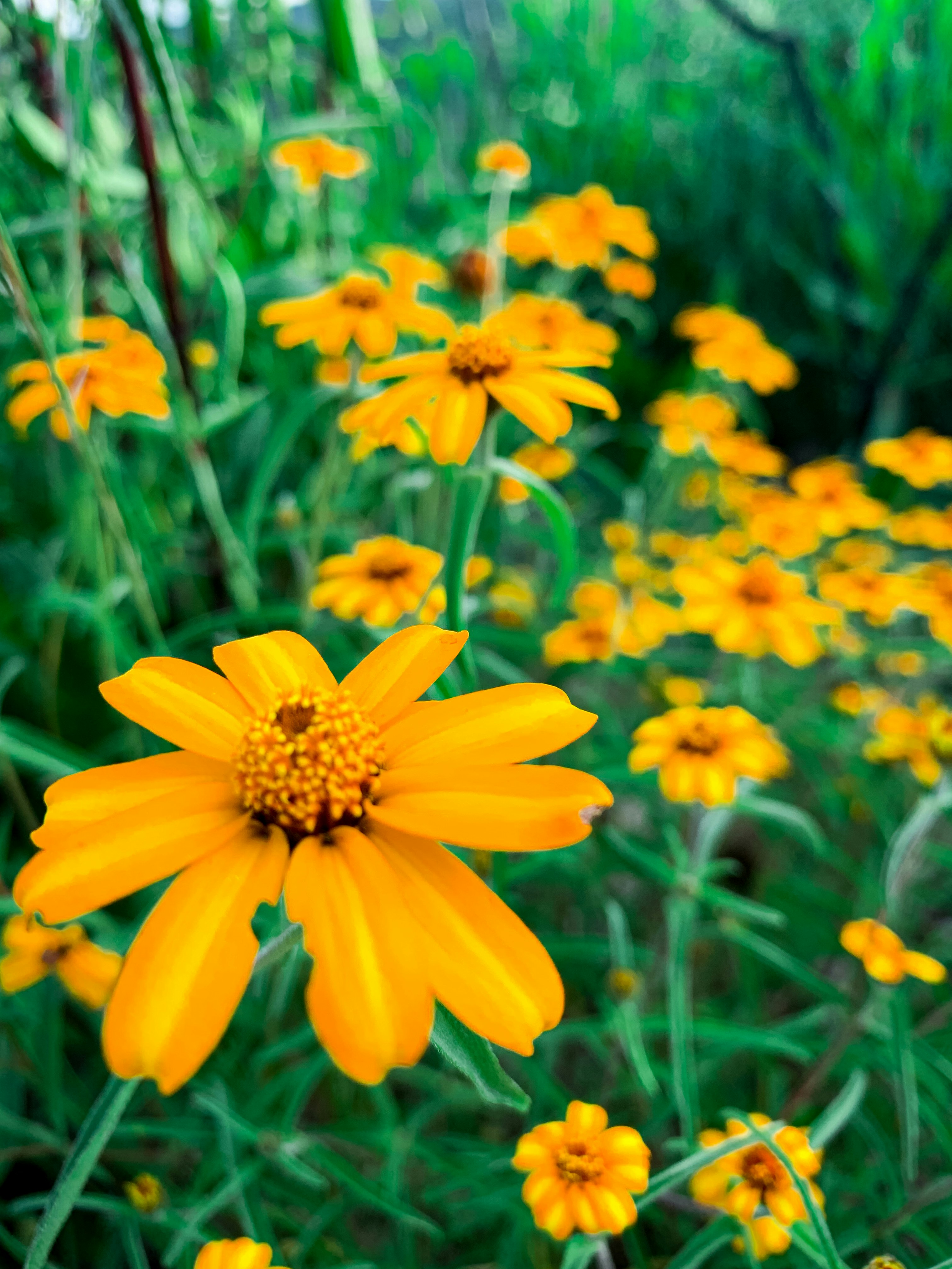 Photo by cristianortega