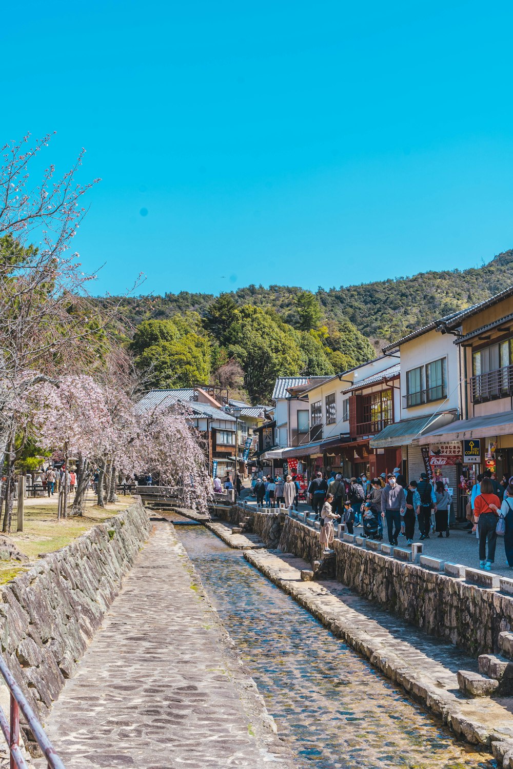 a group of people walking on a path between buildings