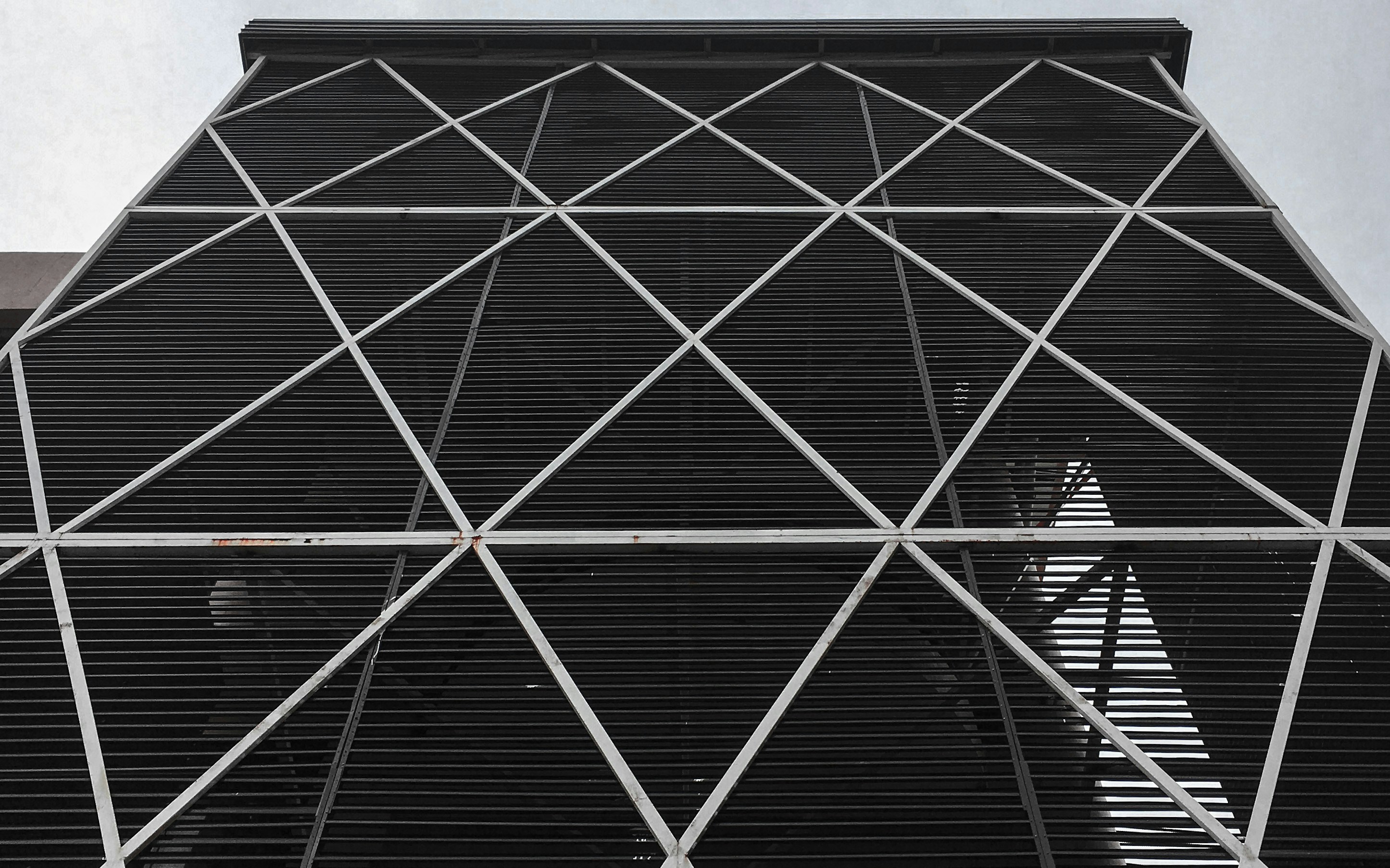 Image by Ezekiel Santos via Unsplash