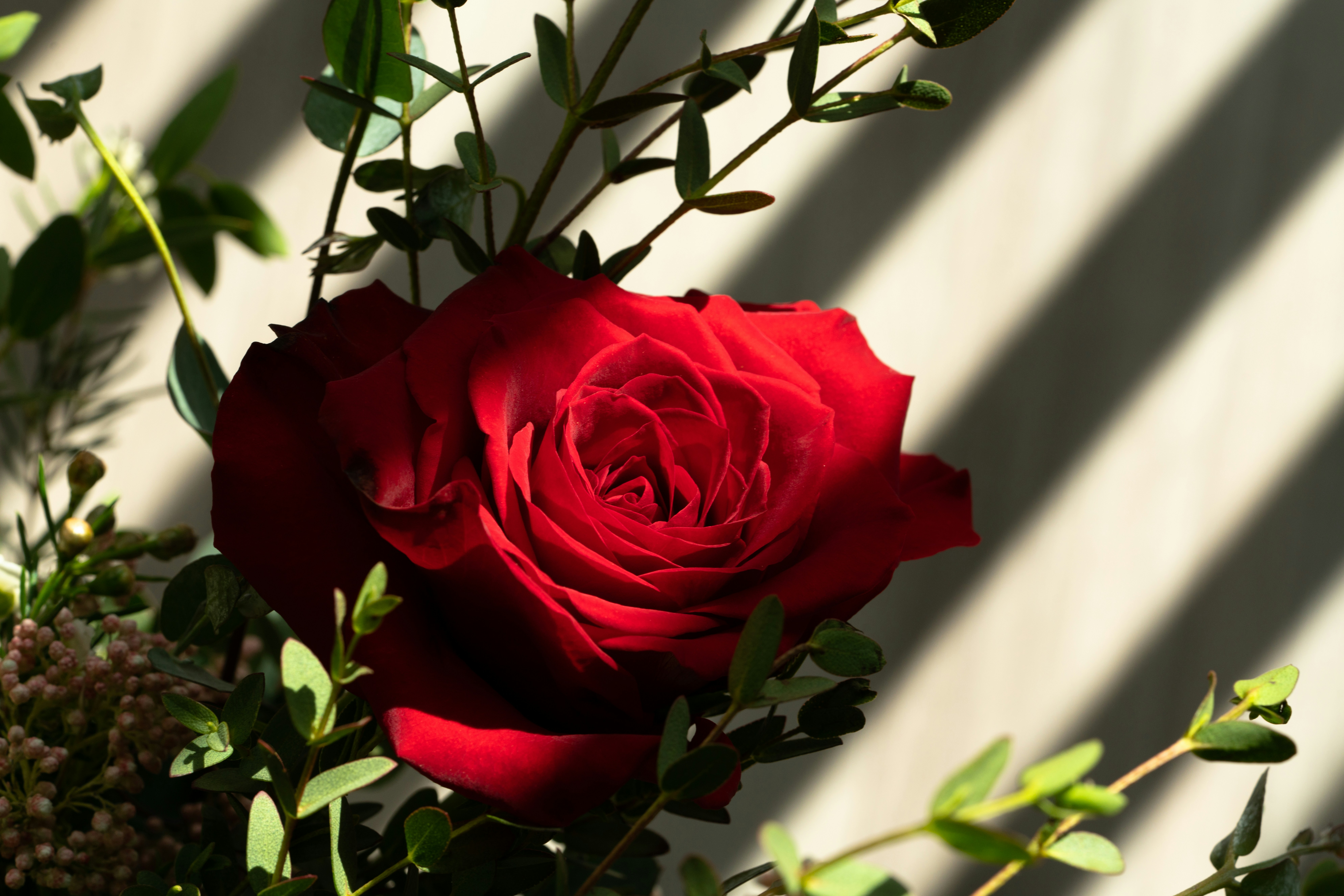 Photo by nickharsell