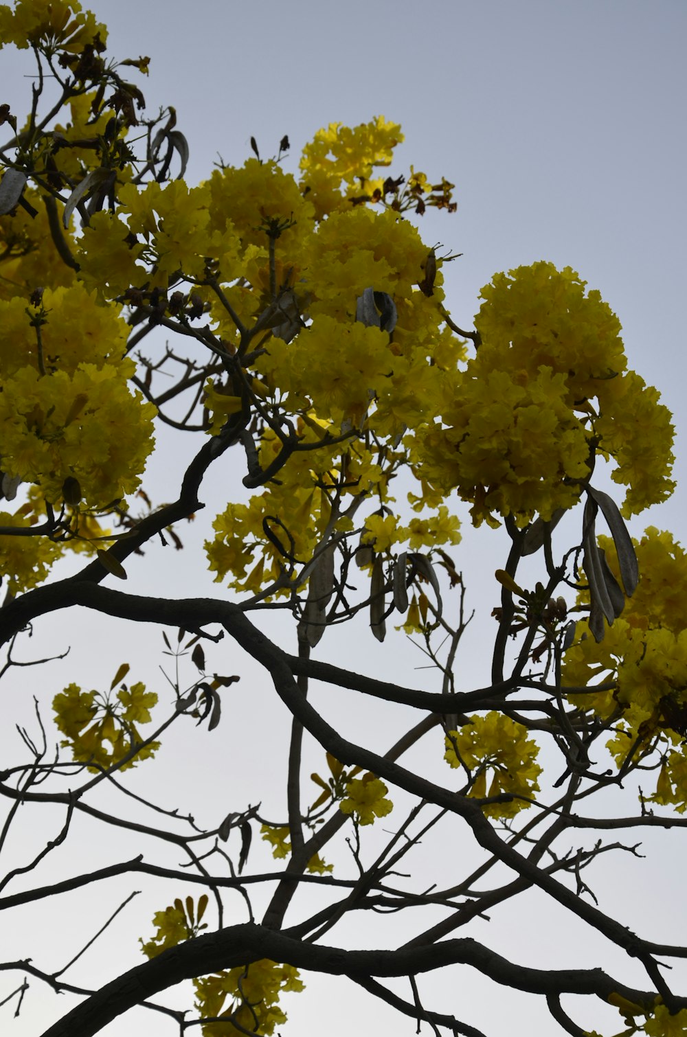 a bird perched on a tree branch