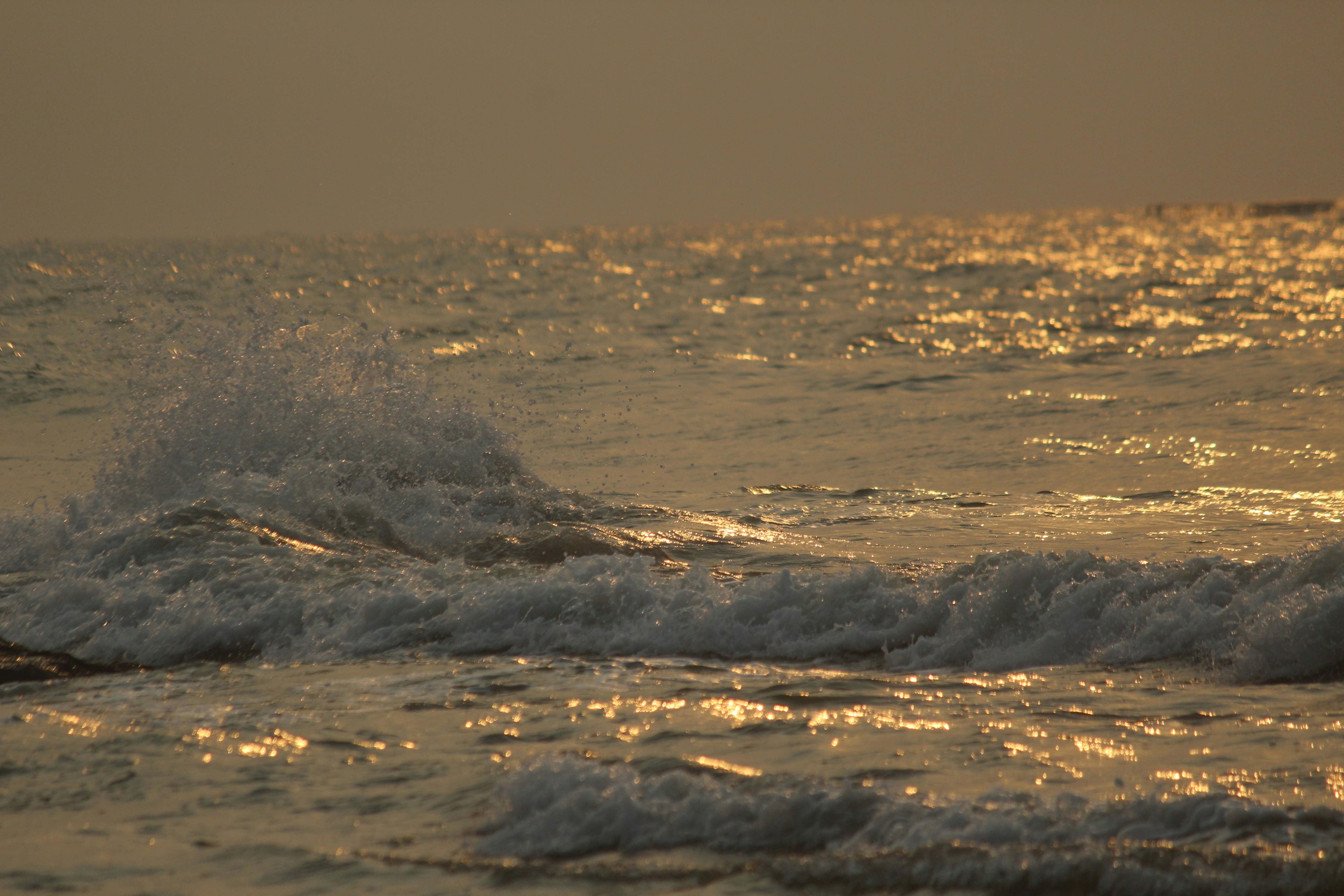 Photo by srini2srinivas