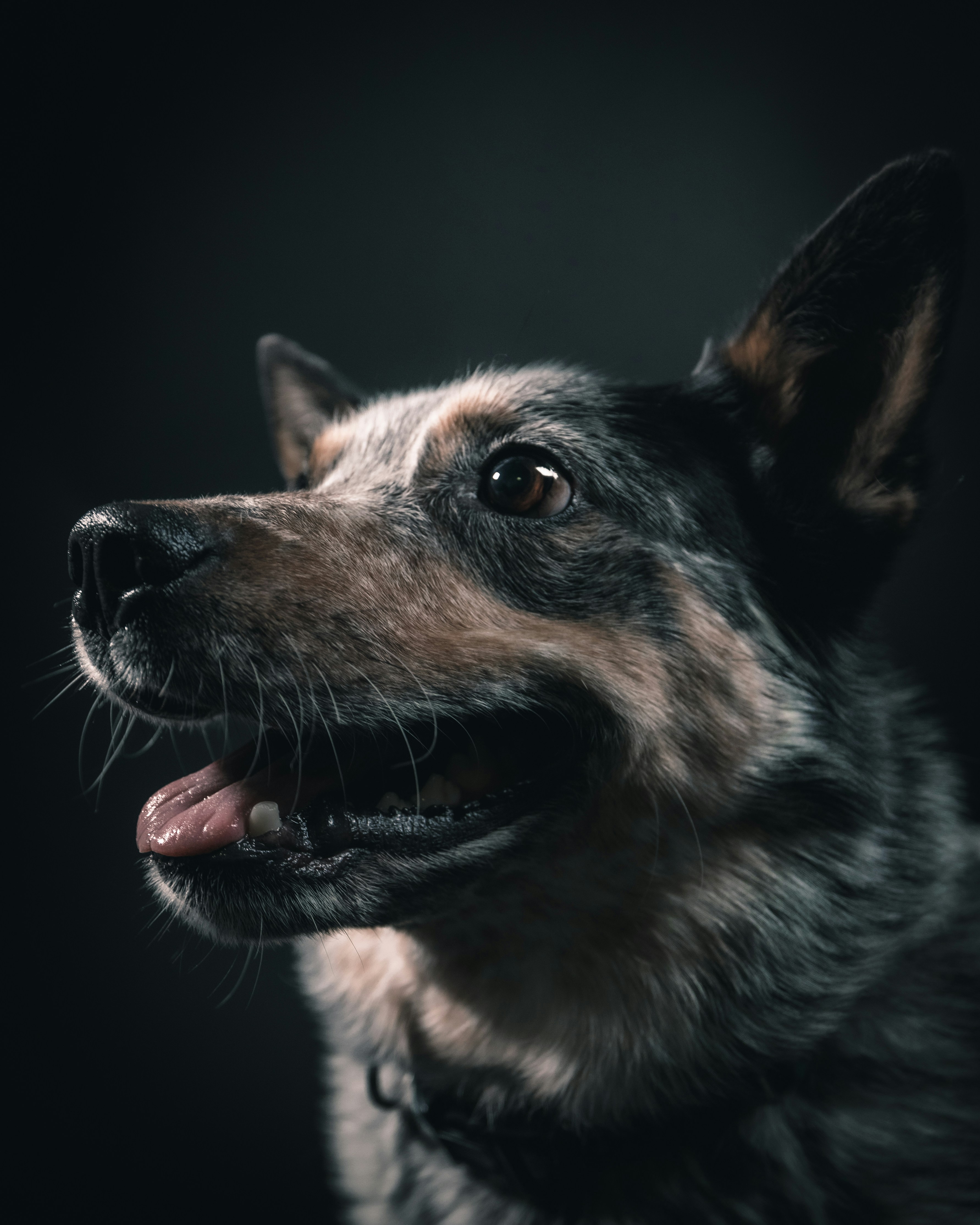 Photo by danny_lincoln