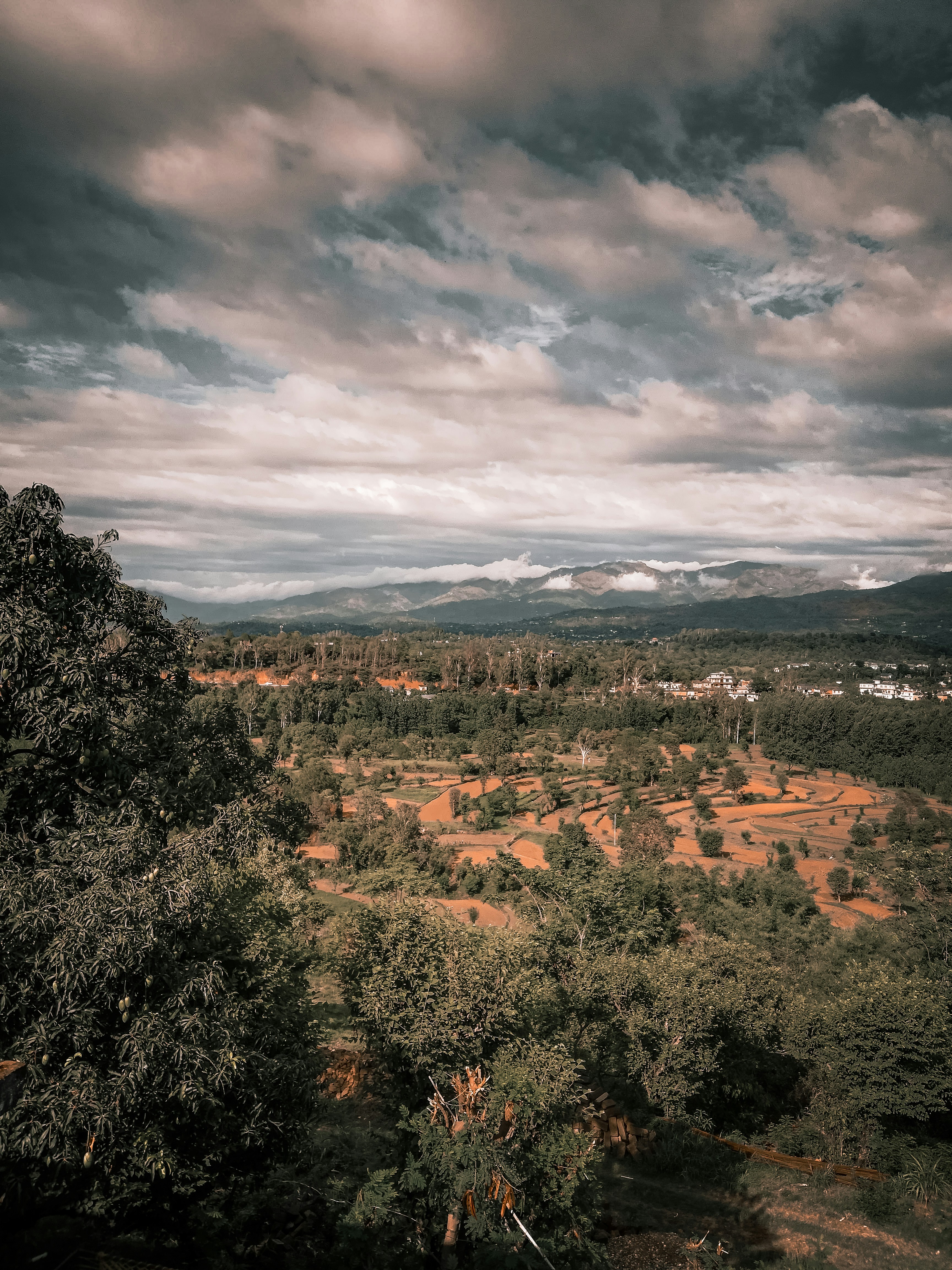 Photo by aryannikhil