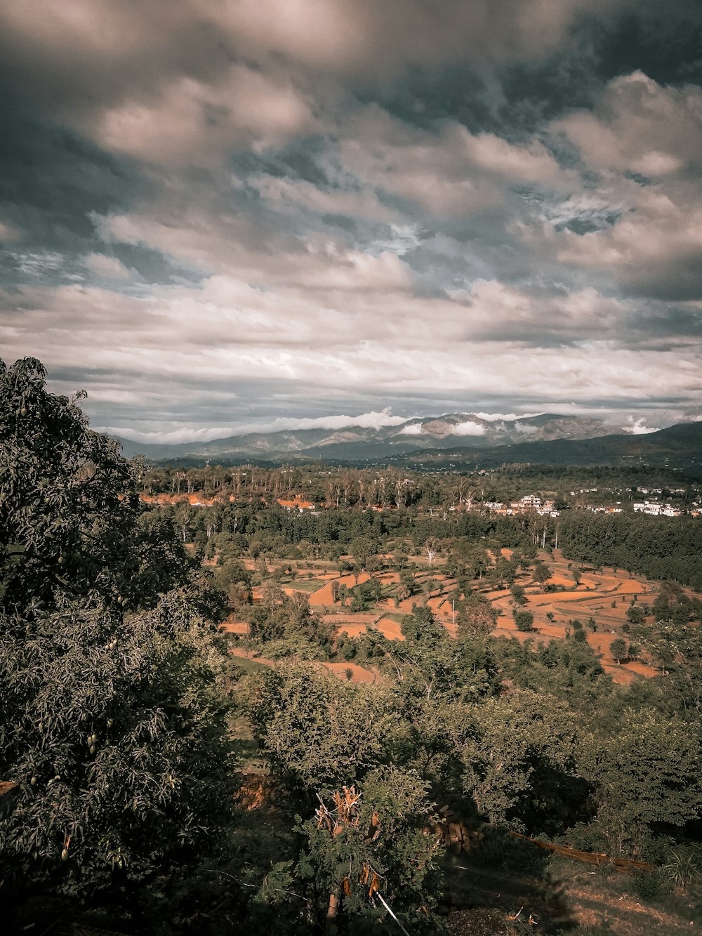 a landscape with trees and hills