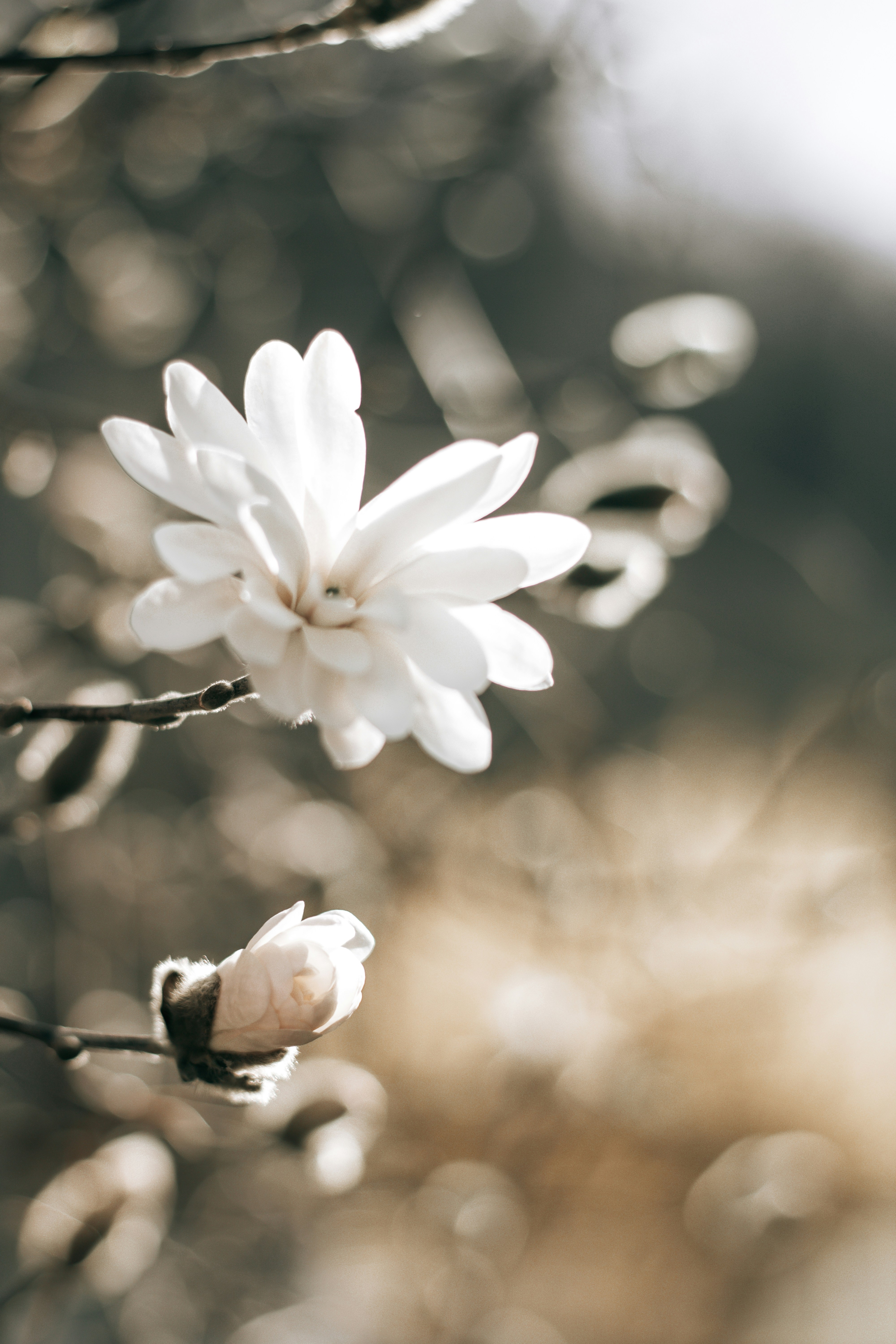 Photo by earthfulmoments