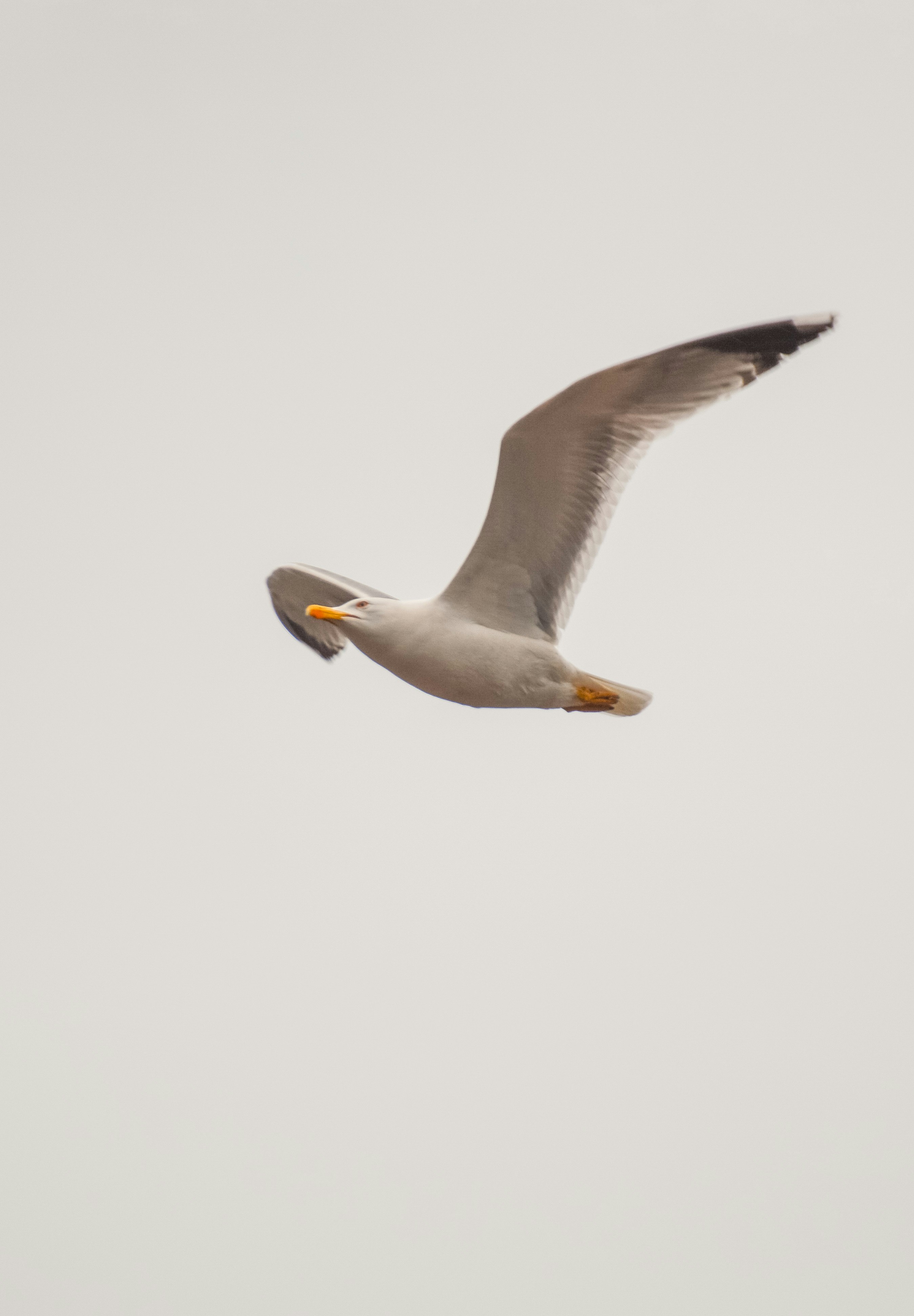 Photo by ekurtanidze1