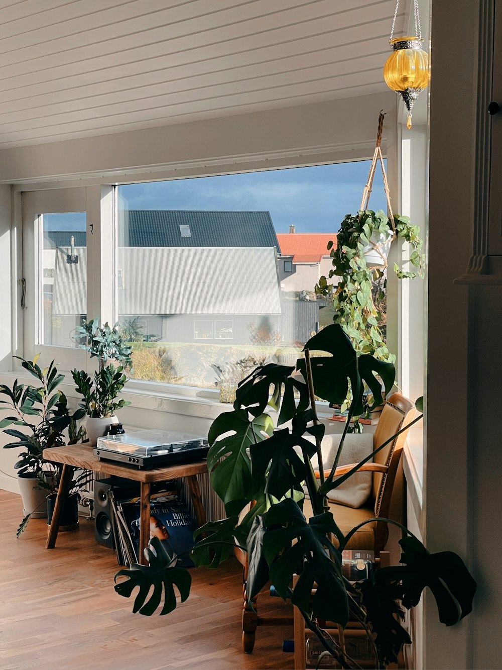 a room with plants and a desk