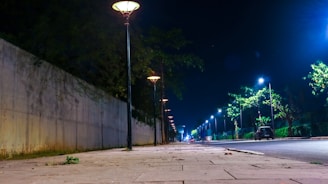 A nighttime patrol car driving through the quiet, lamp-lit streets of Tlalpan.