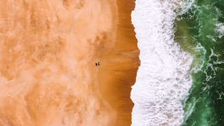 a person in the water
