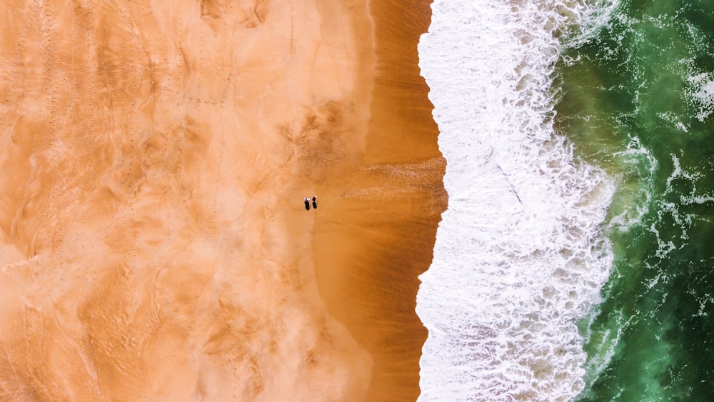 a person in the water