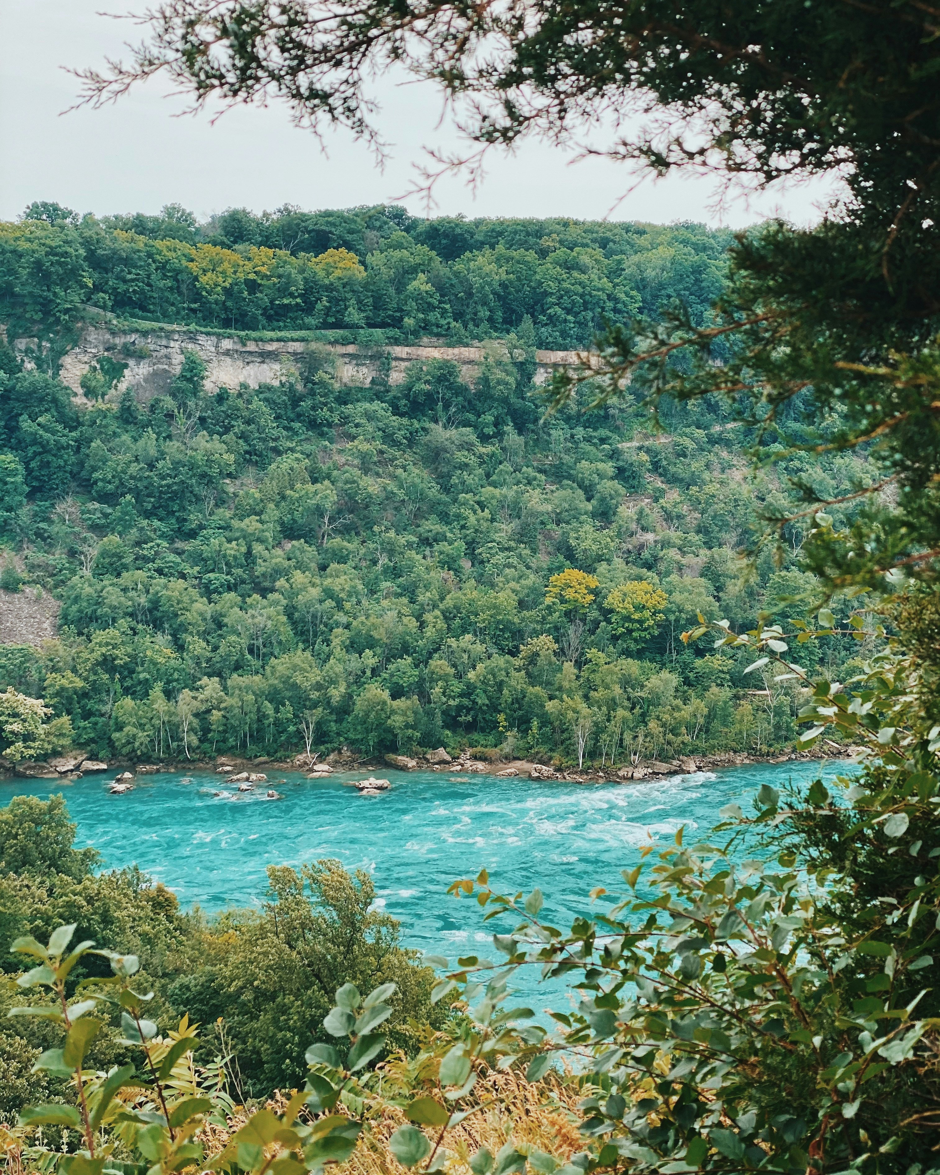 a body of water surrounded by trees