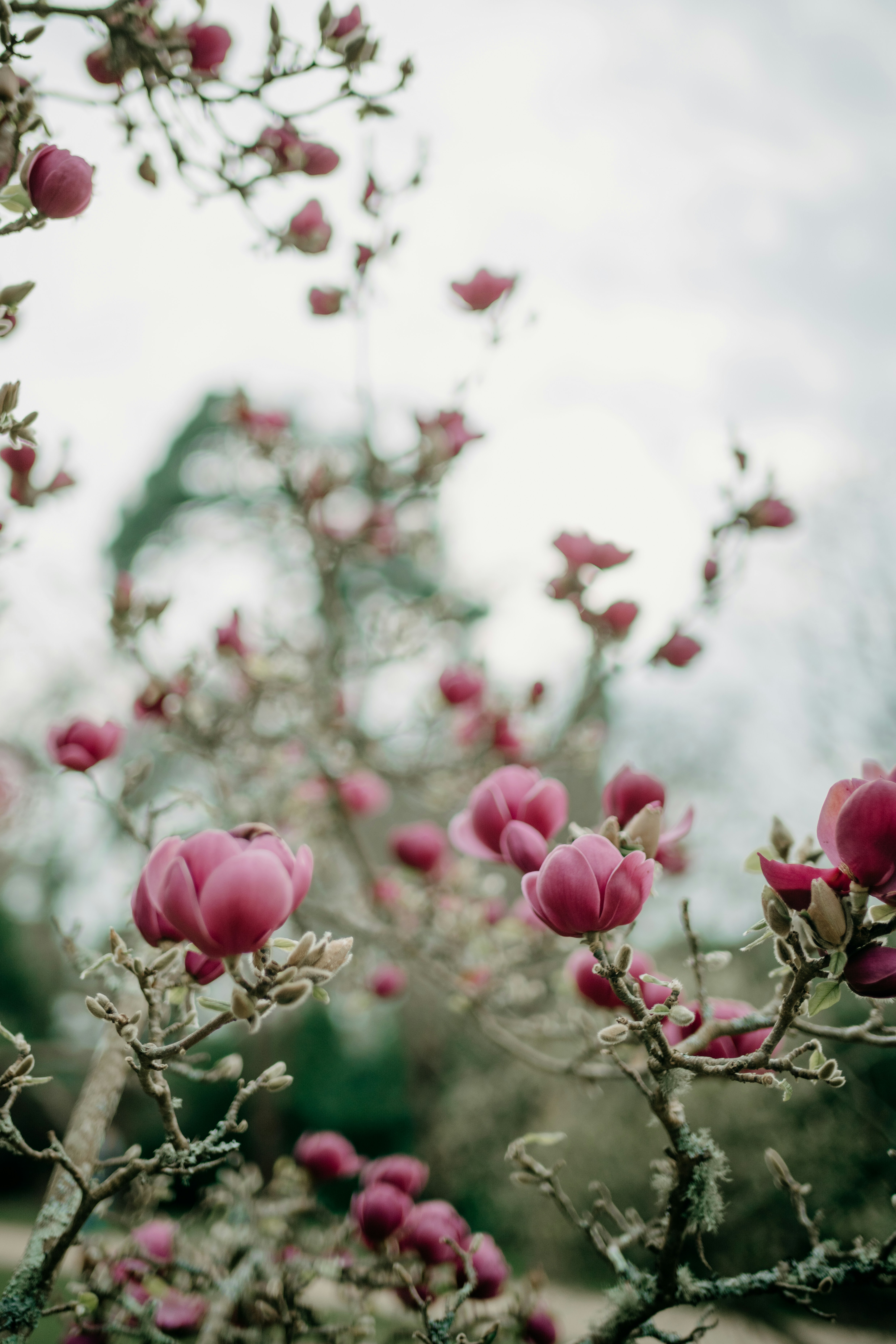 Photo by anniespratt