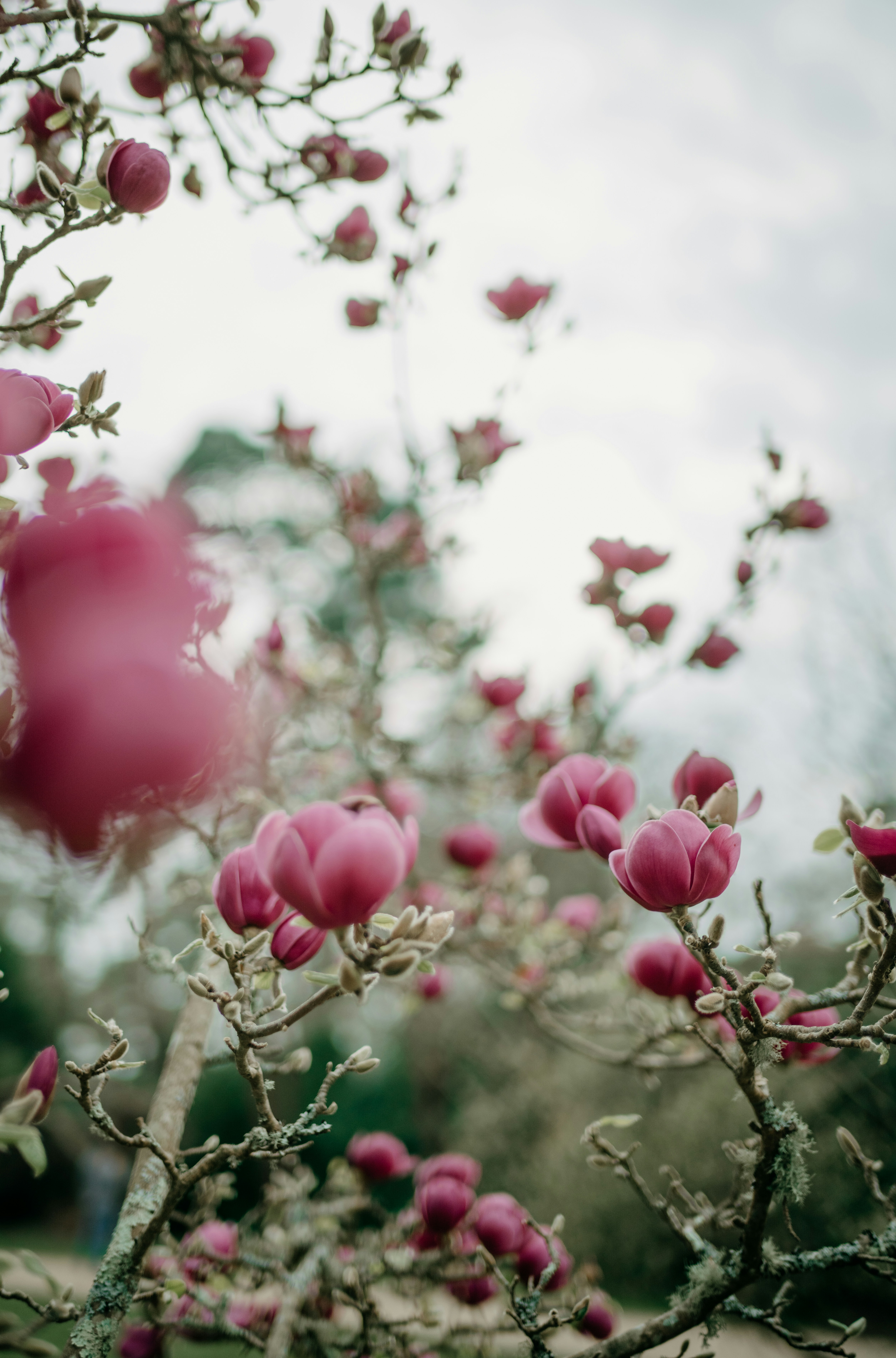 Photo by anniespratt