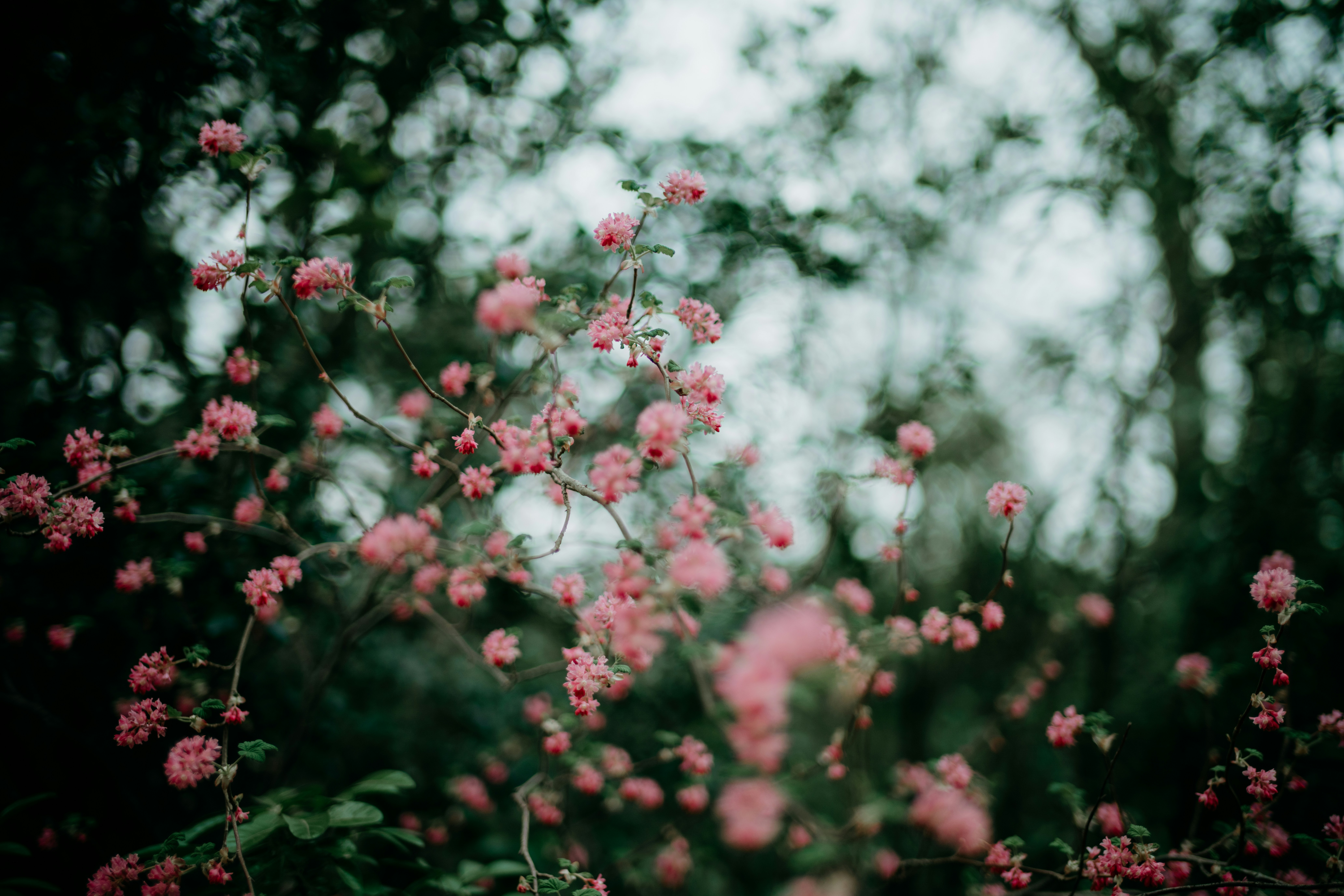 Photo by anniespratt