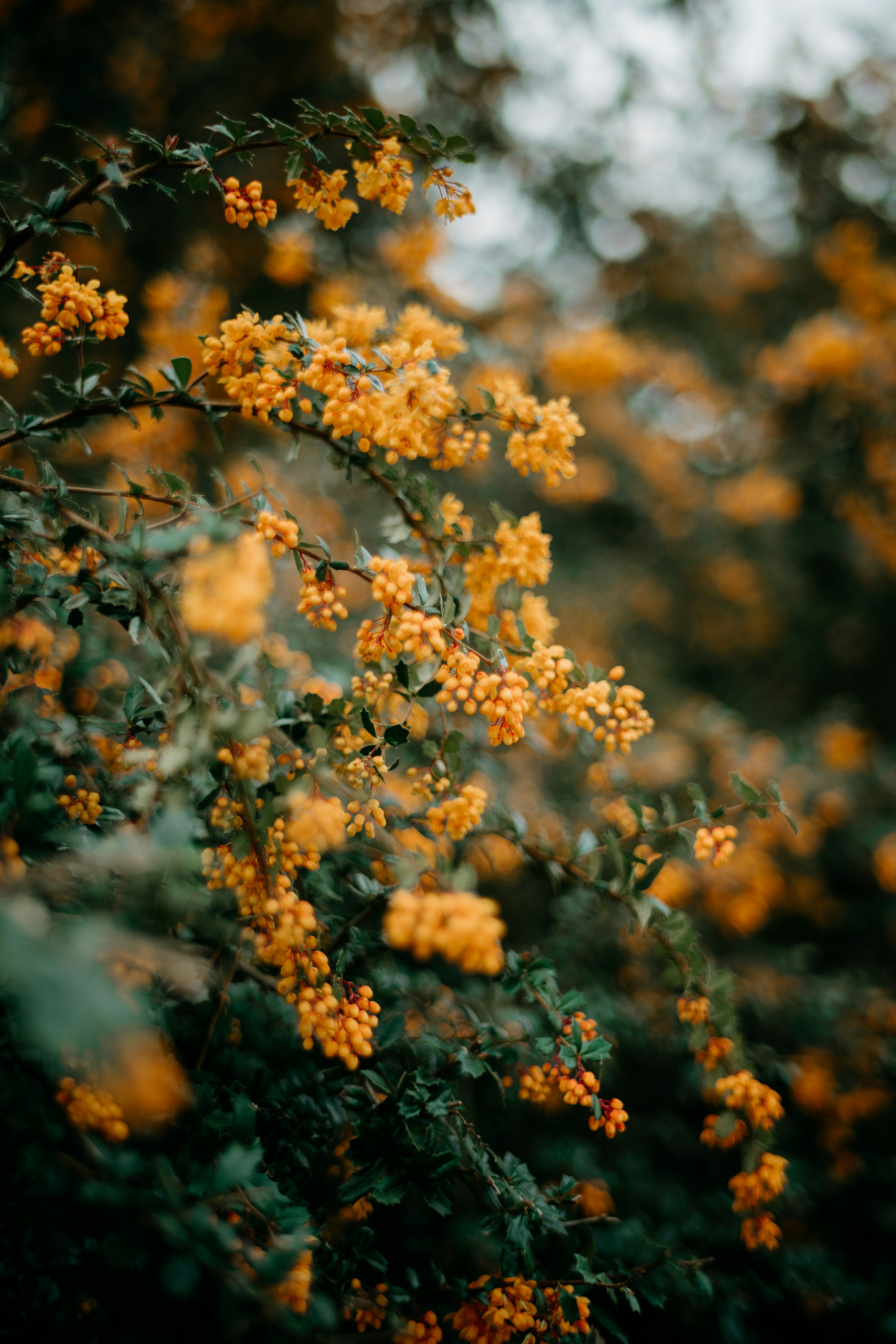 Photo by anniespratt