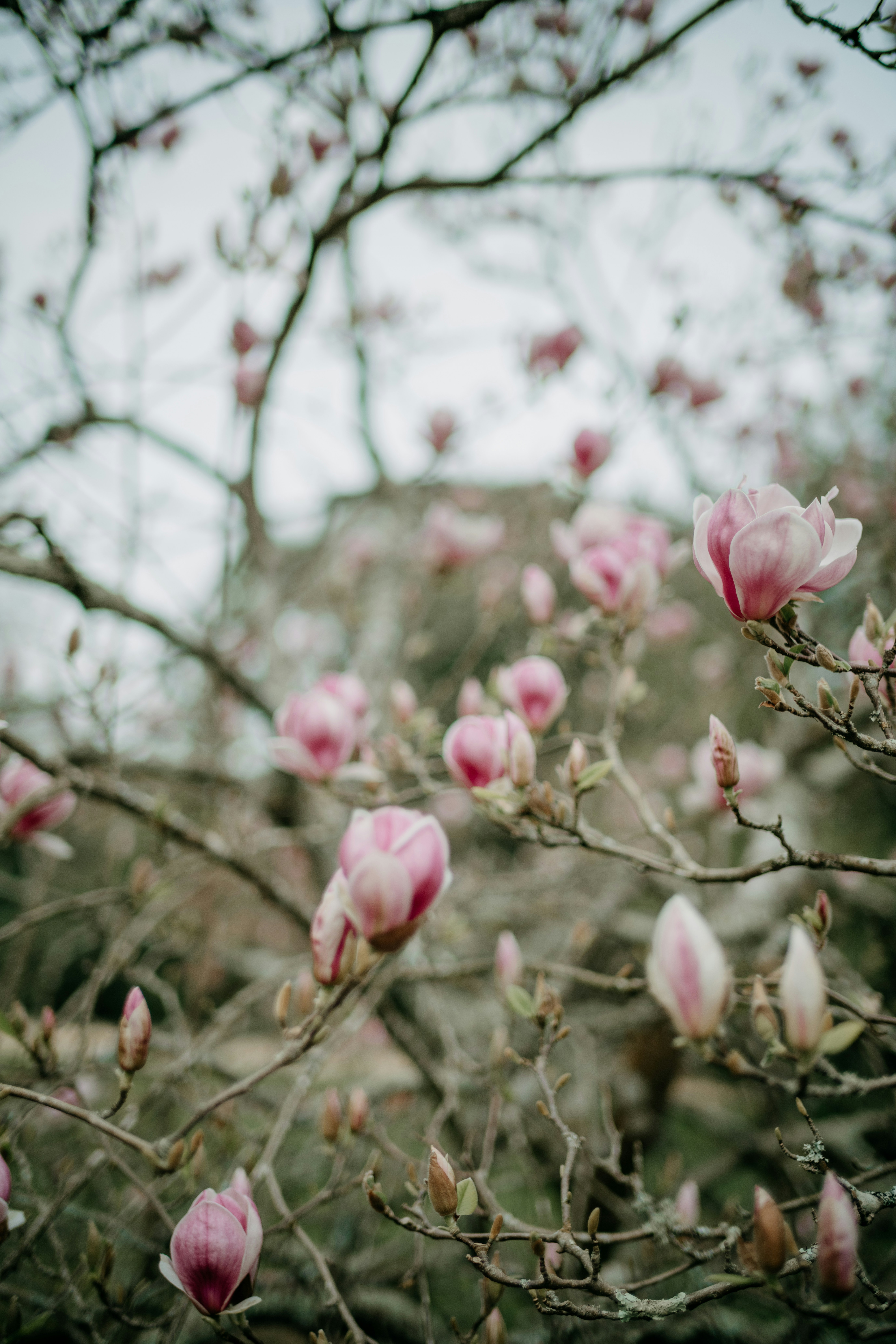 Photo by anniespratt