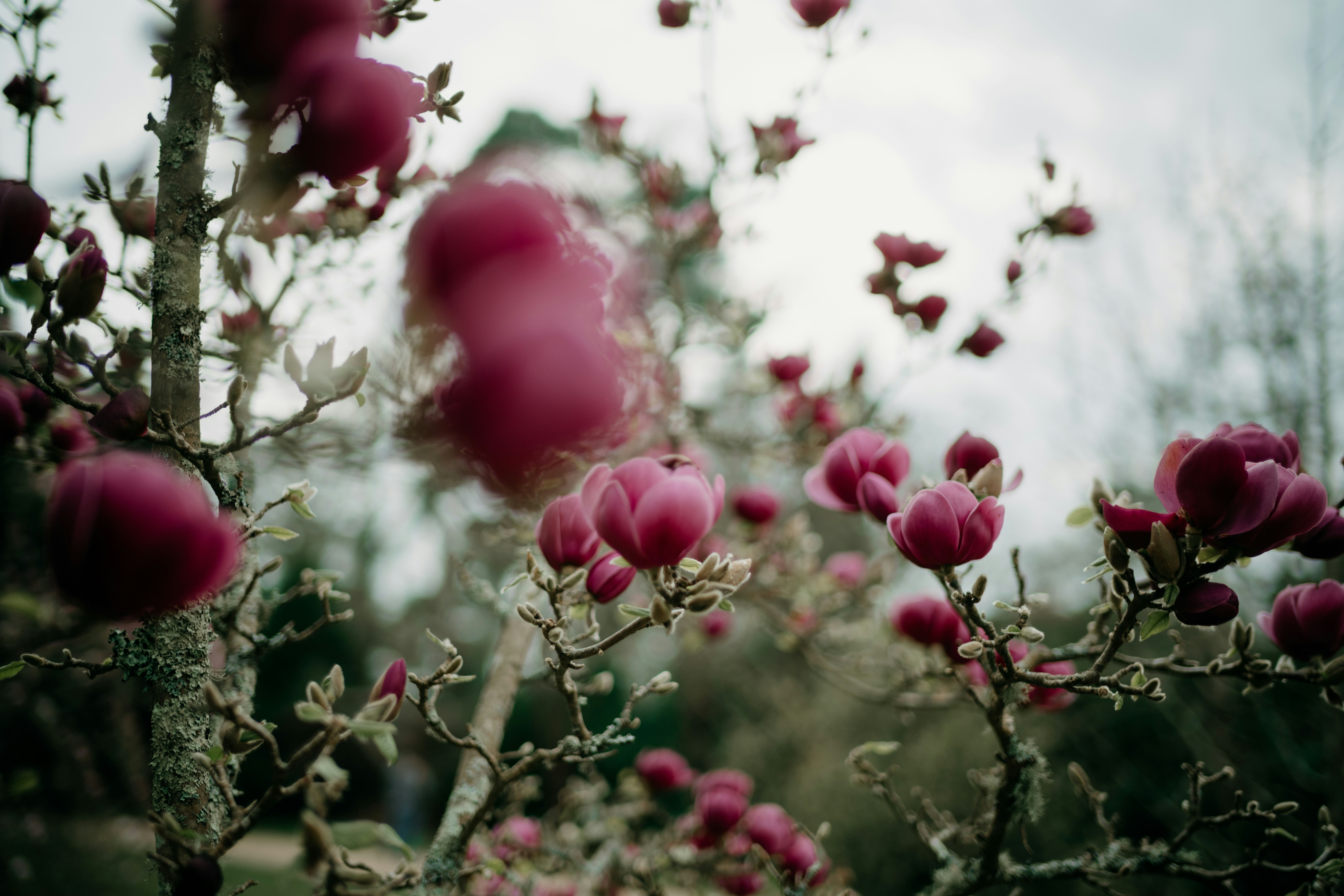 Photo by anniespratt